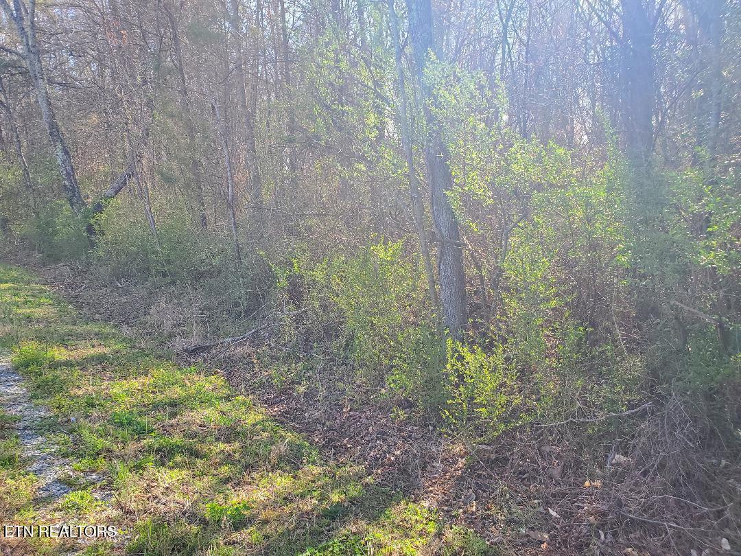 Lot 2 Highway 304 Property Photo