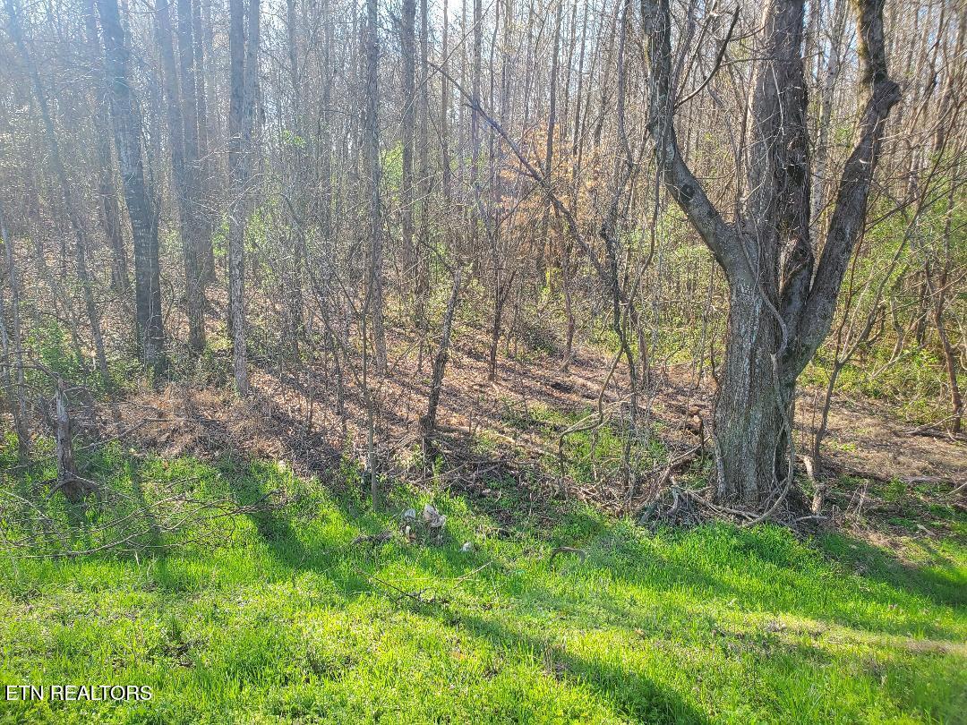 Lot 3 Highway 304 Property Photo