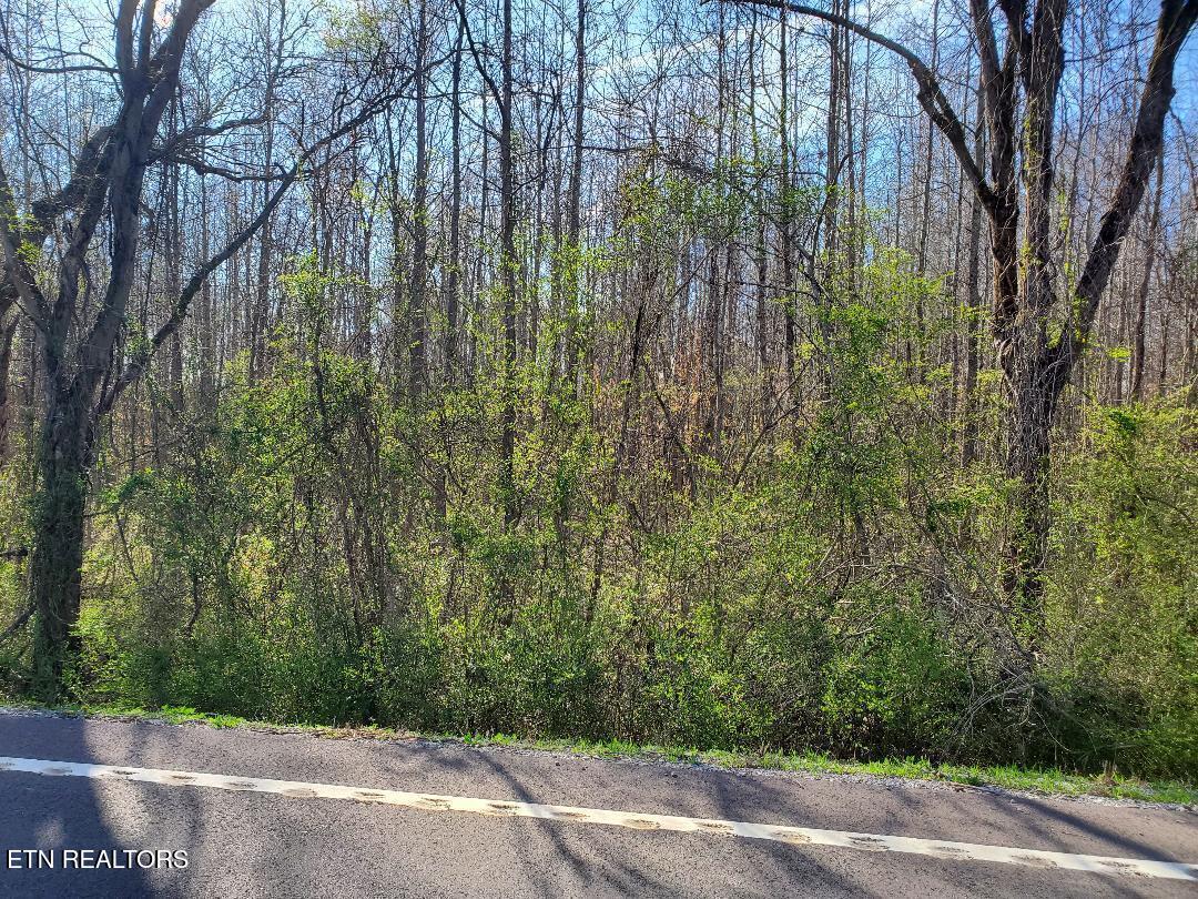 Lot 6 Highway 304 Property Photo
