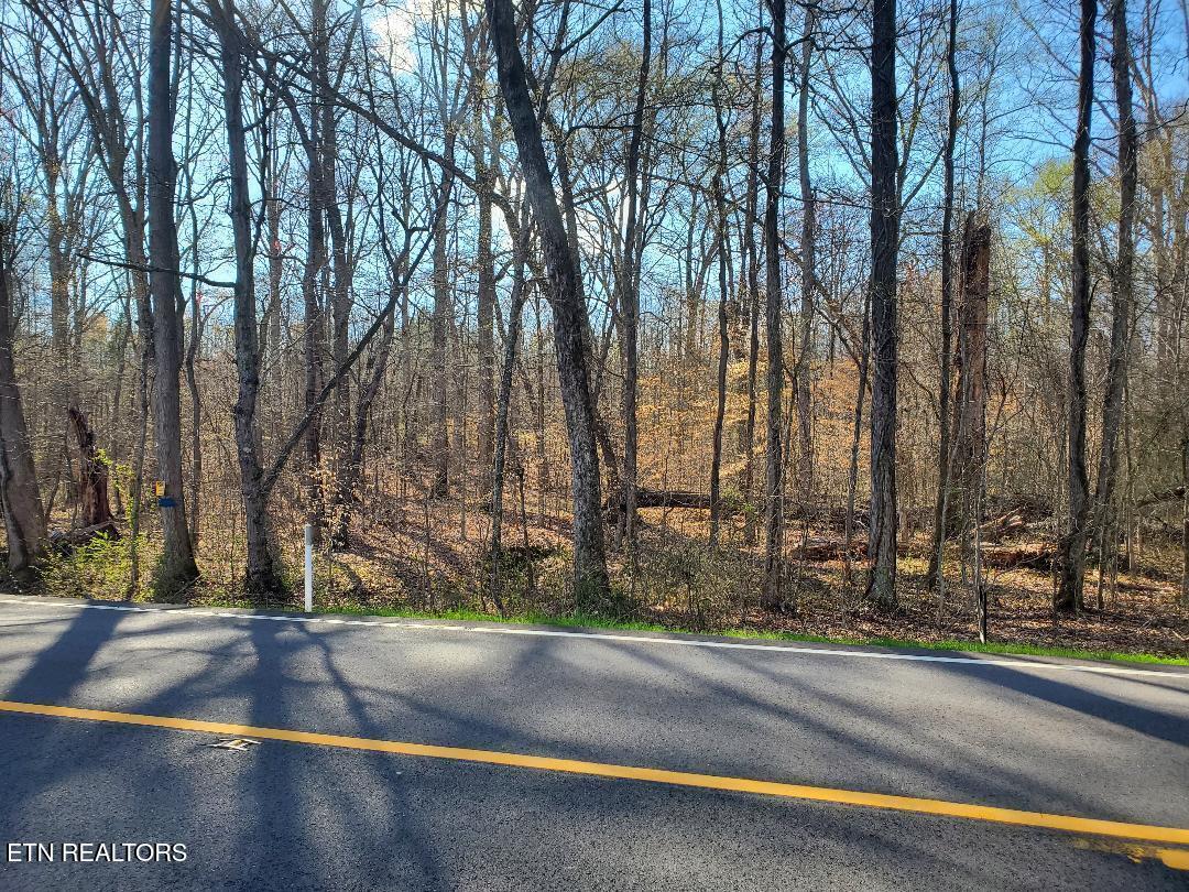 Lot 14 Highway 304 Property Photo