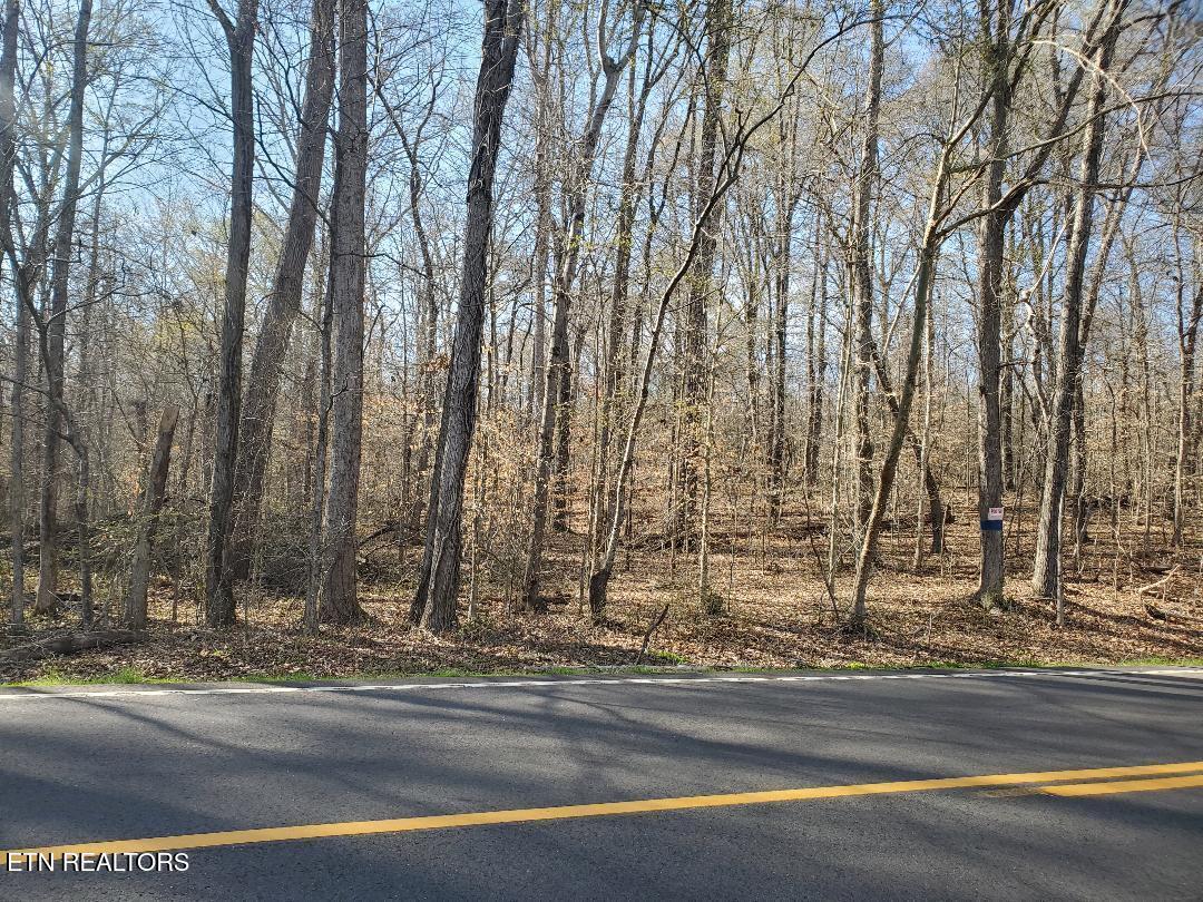 Lot 15 Highway 304 Property Photo