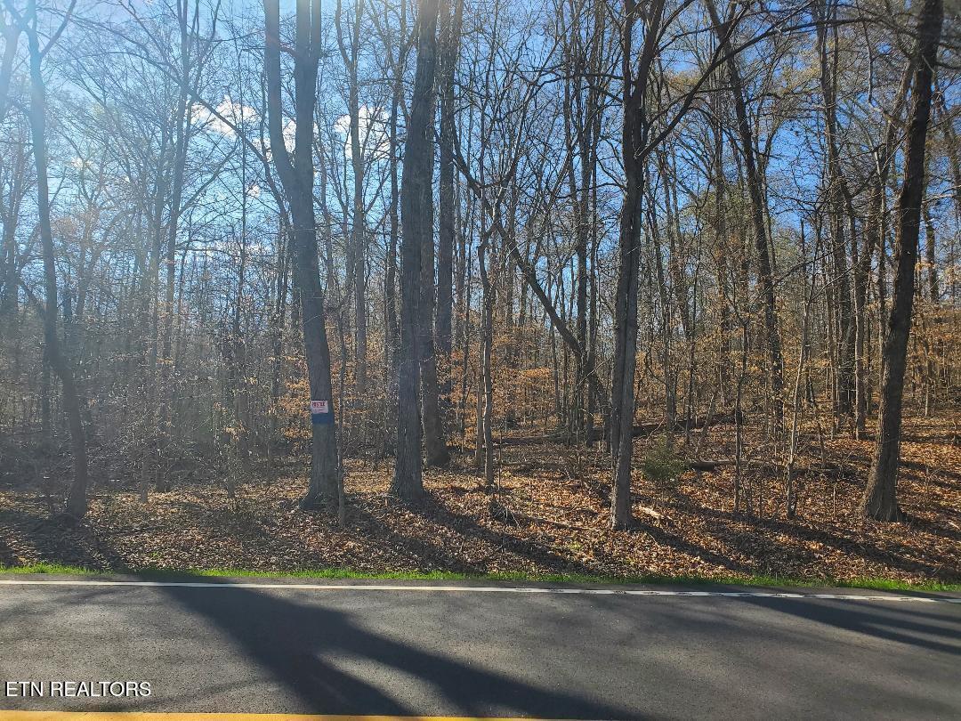 Lot 16 Highway 304 Property Photo