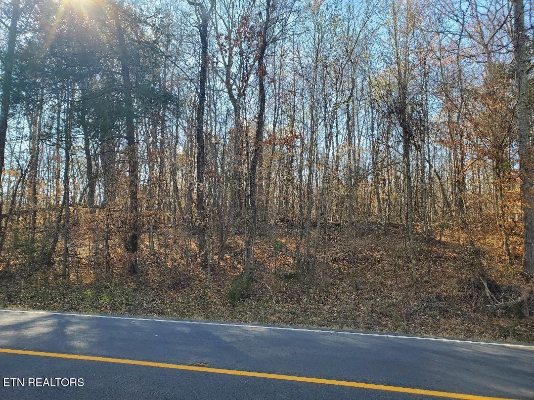 Lot 17 Highway 304 Property Photo