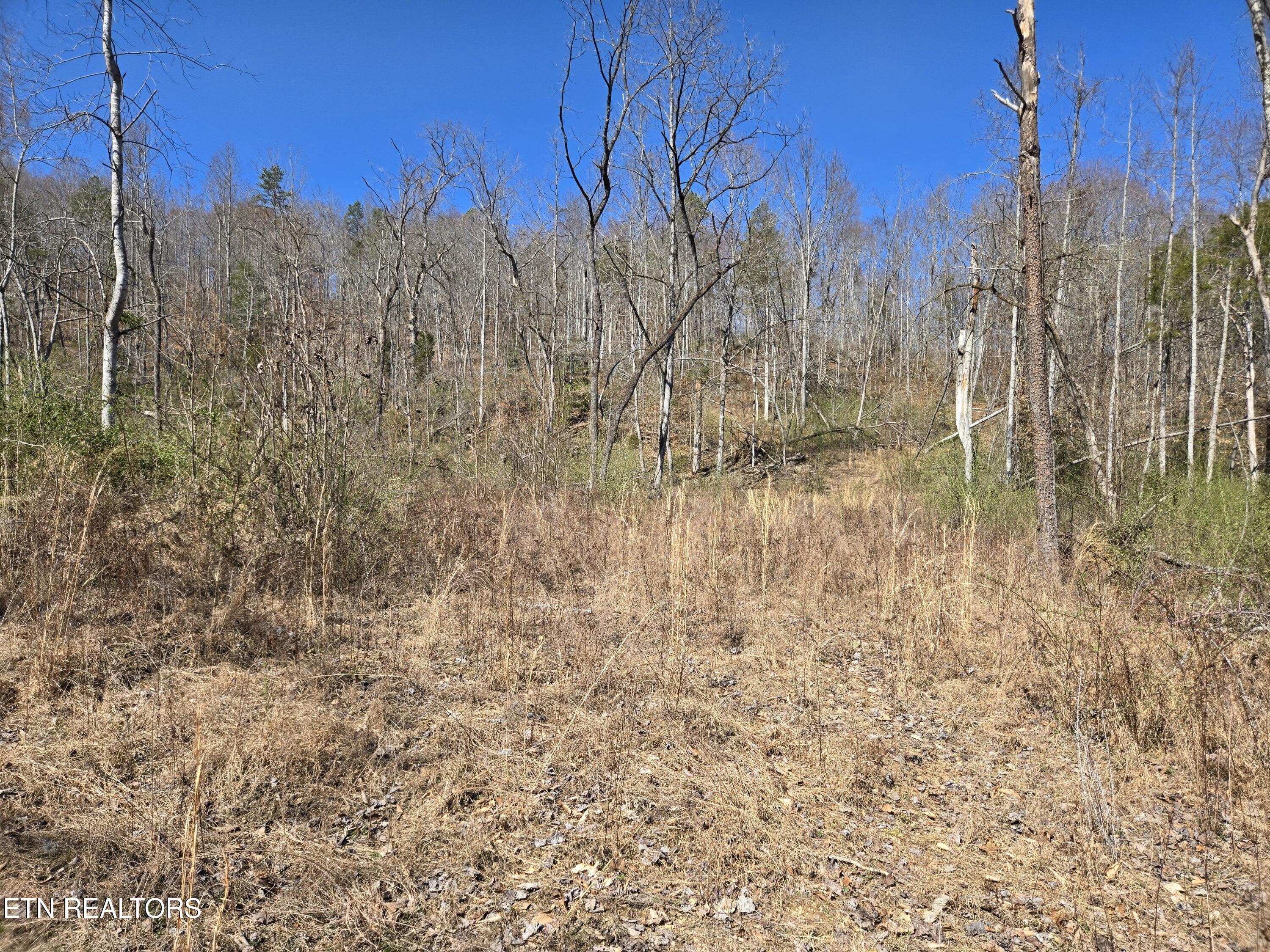 110 Braden Chapel Rd. Rd Property Photo