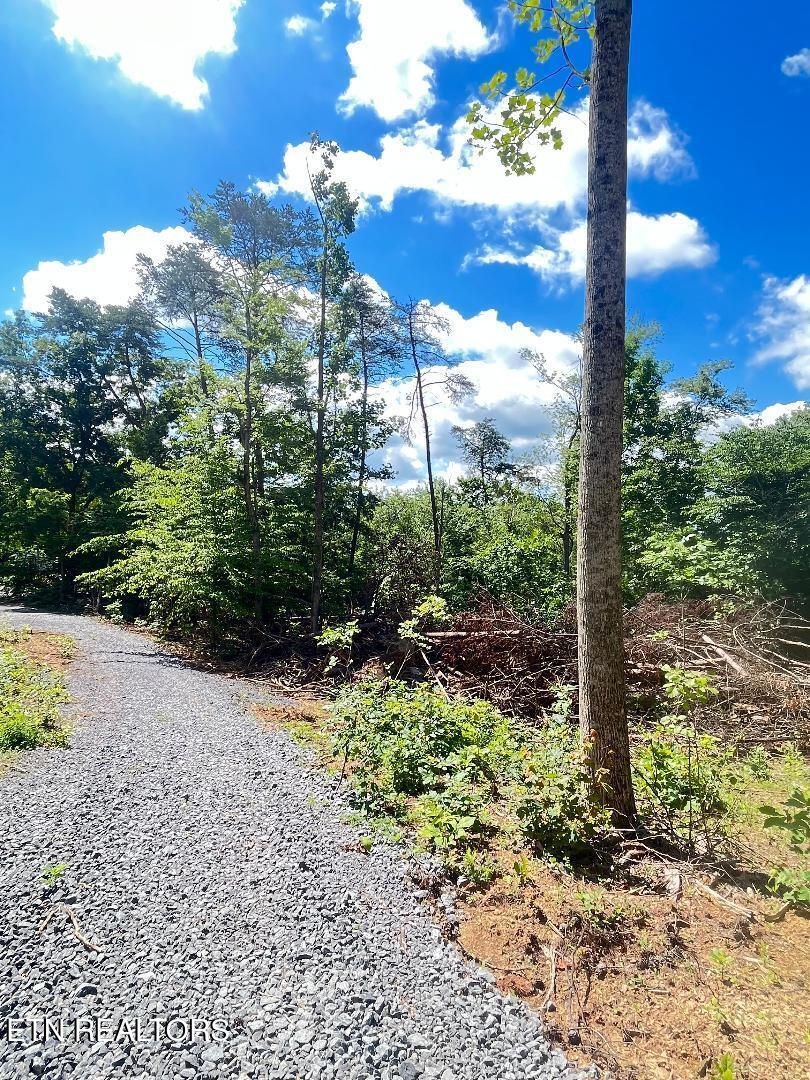 Dunville Gap Rd Property Photo
