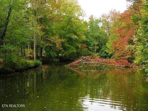 Lot11&12 Osprey Way Property Photo 1