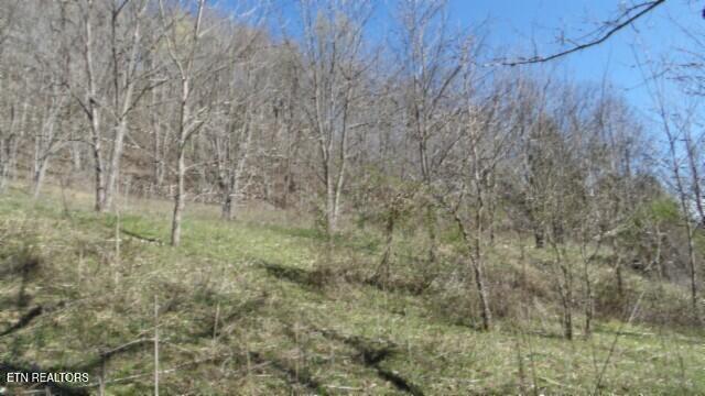 35.68ac Sugar Creek Rd Property Photo