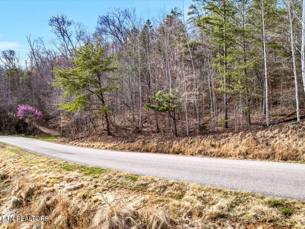 Lot 553 Whistle Valley Rd Property Photo