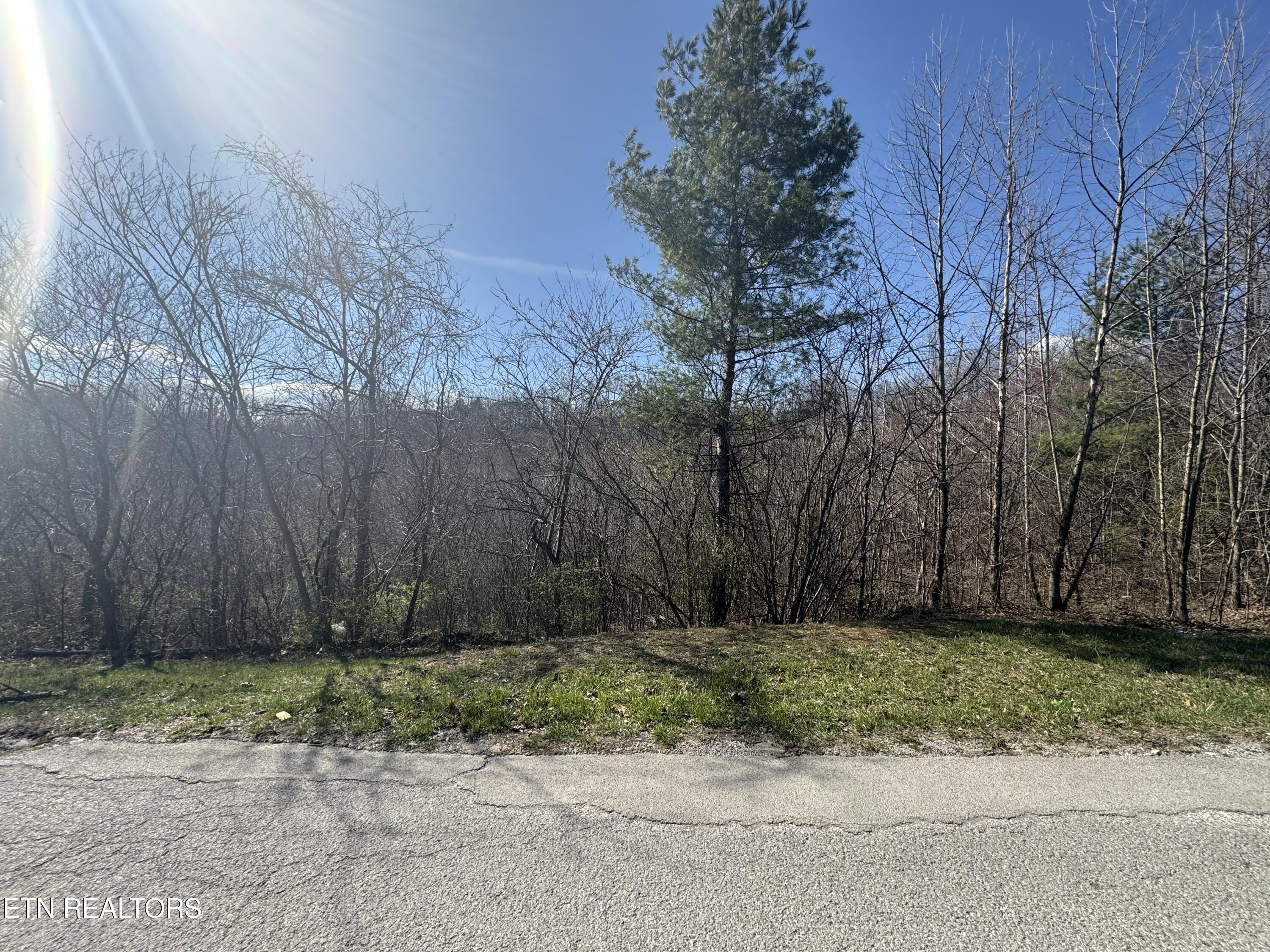 Grape Rough Rd Property Photo