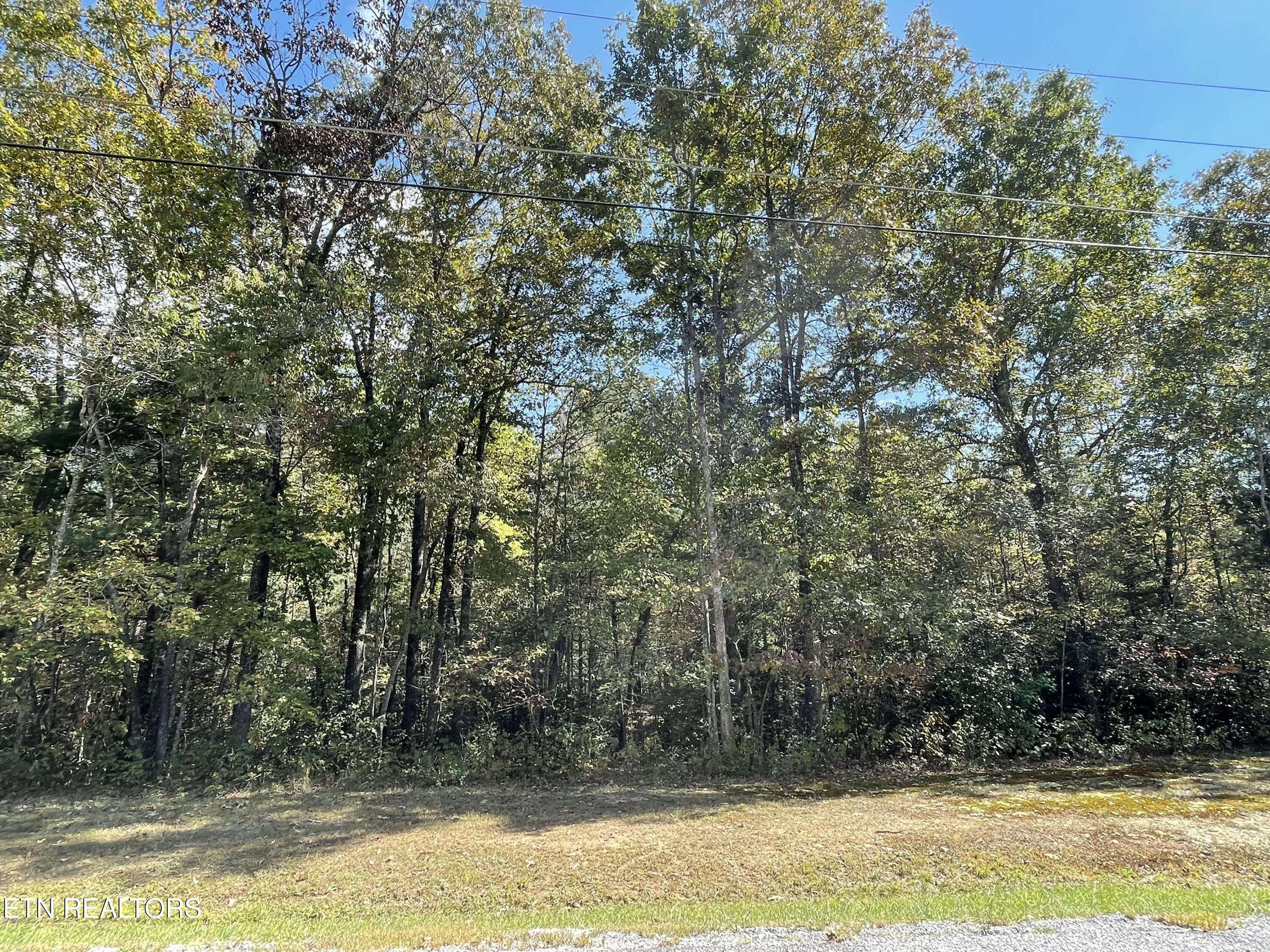 130 Stillington Loop Property Photo