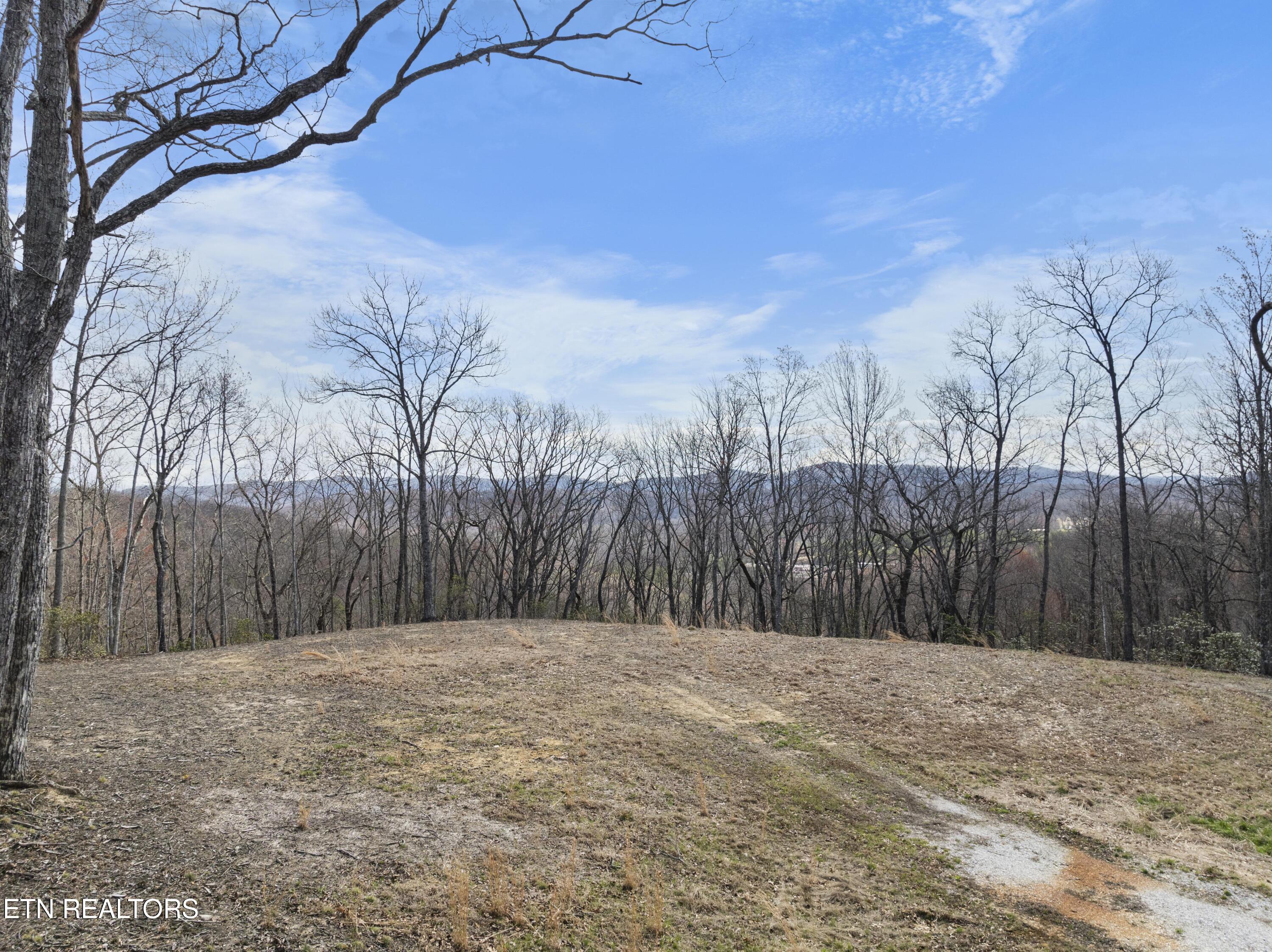 Hunter Hills Drive Property Photo