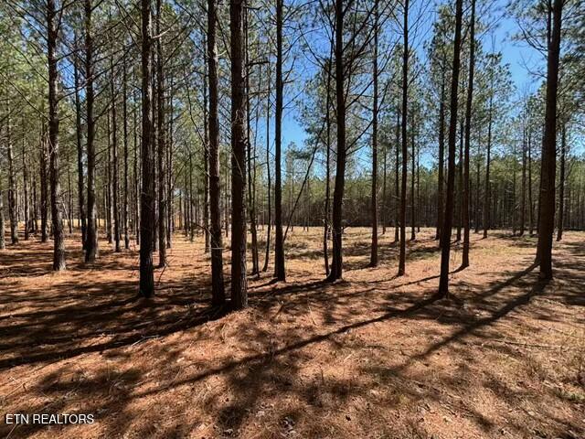 000 Worley Rd Property Photo