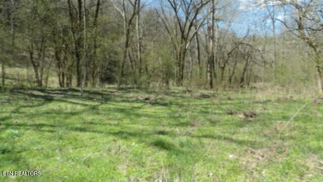 Lots 1 & 6 Baugh Hollow Rd Property Photo