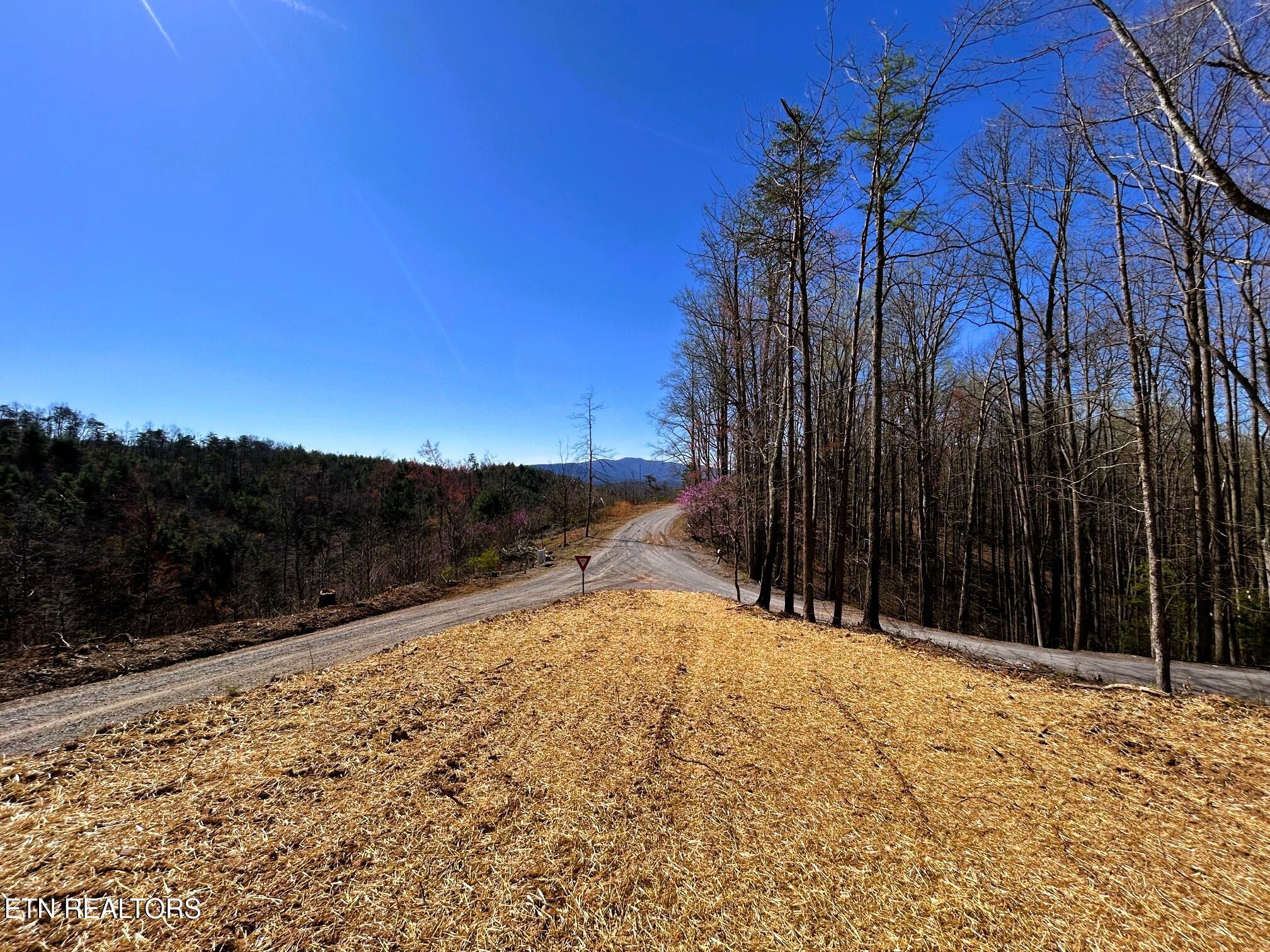 107 Chestnut Mountain Road Property Photo