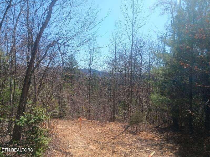 255 Copperhead Rd Property Photo