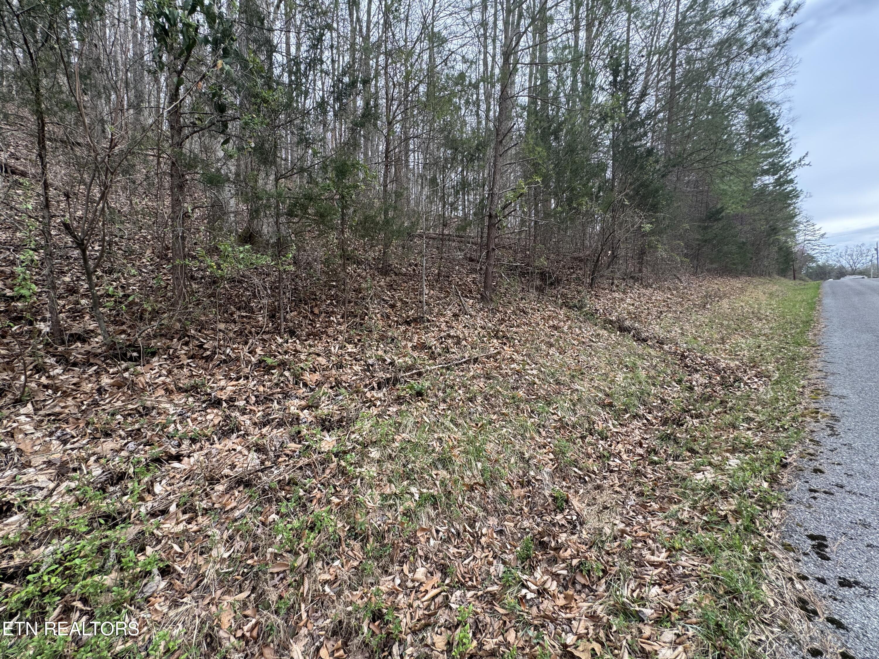Lot 38 Highland Trace Rd Property Photo