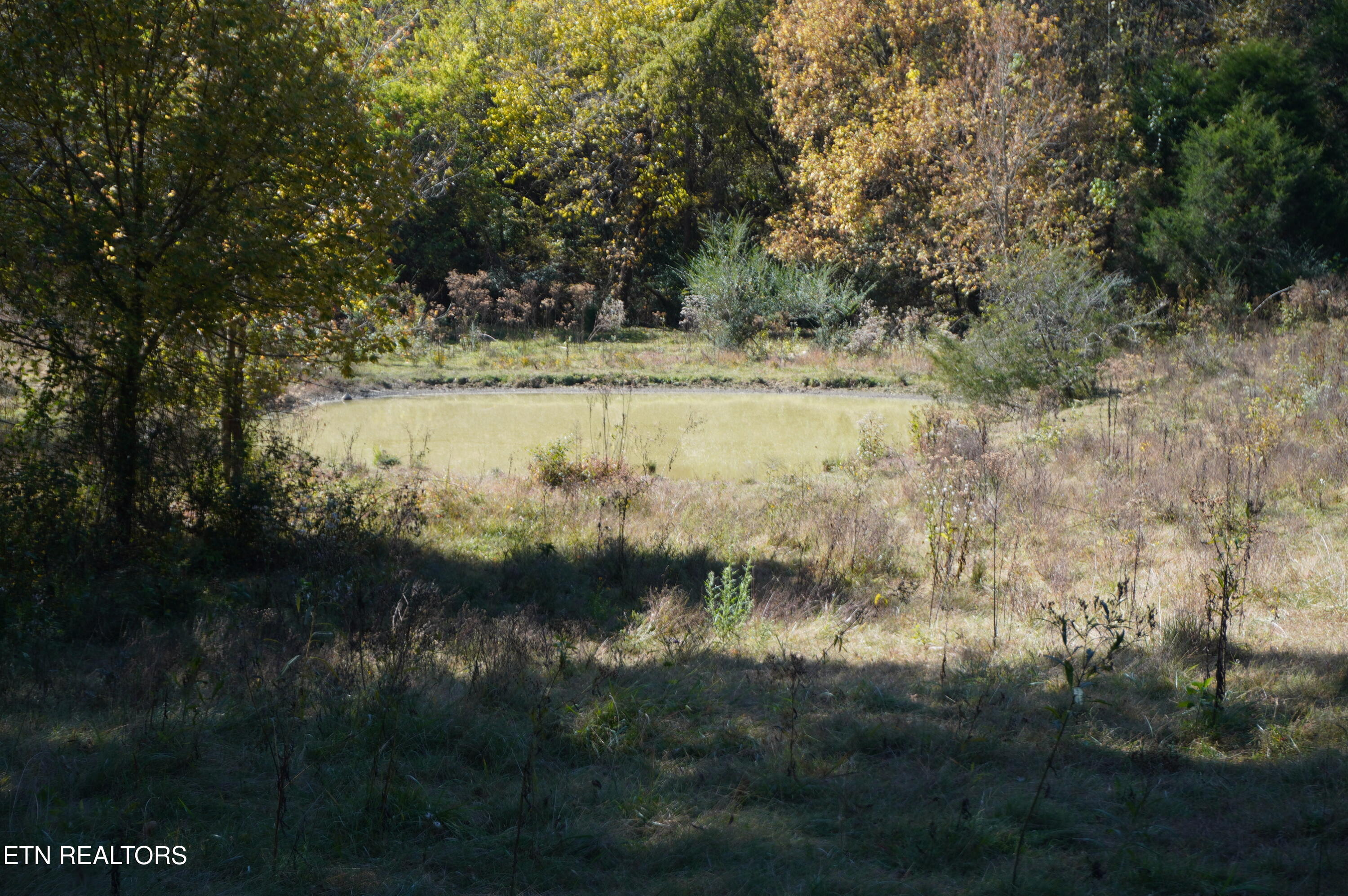 Par 152 Sulpher Springs Rd Property Photo 15