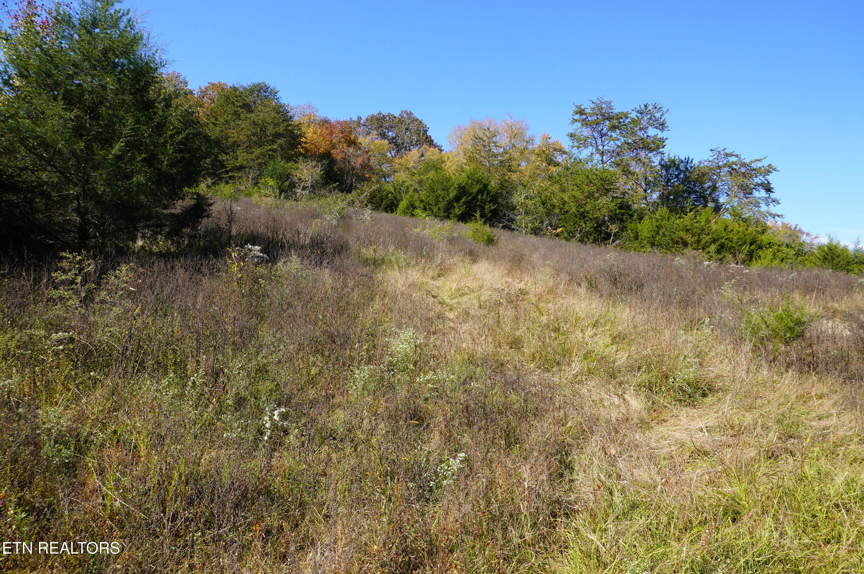 Par 152 Sulpher Springs Rd Property Photo 17