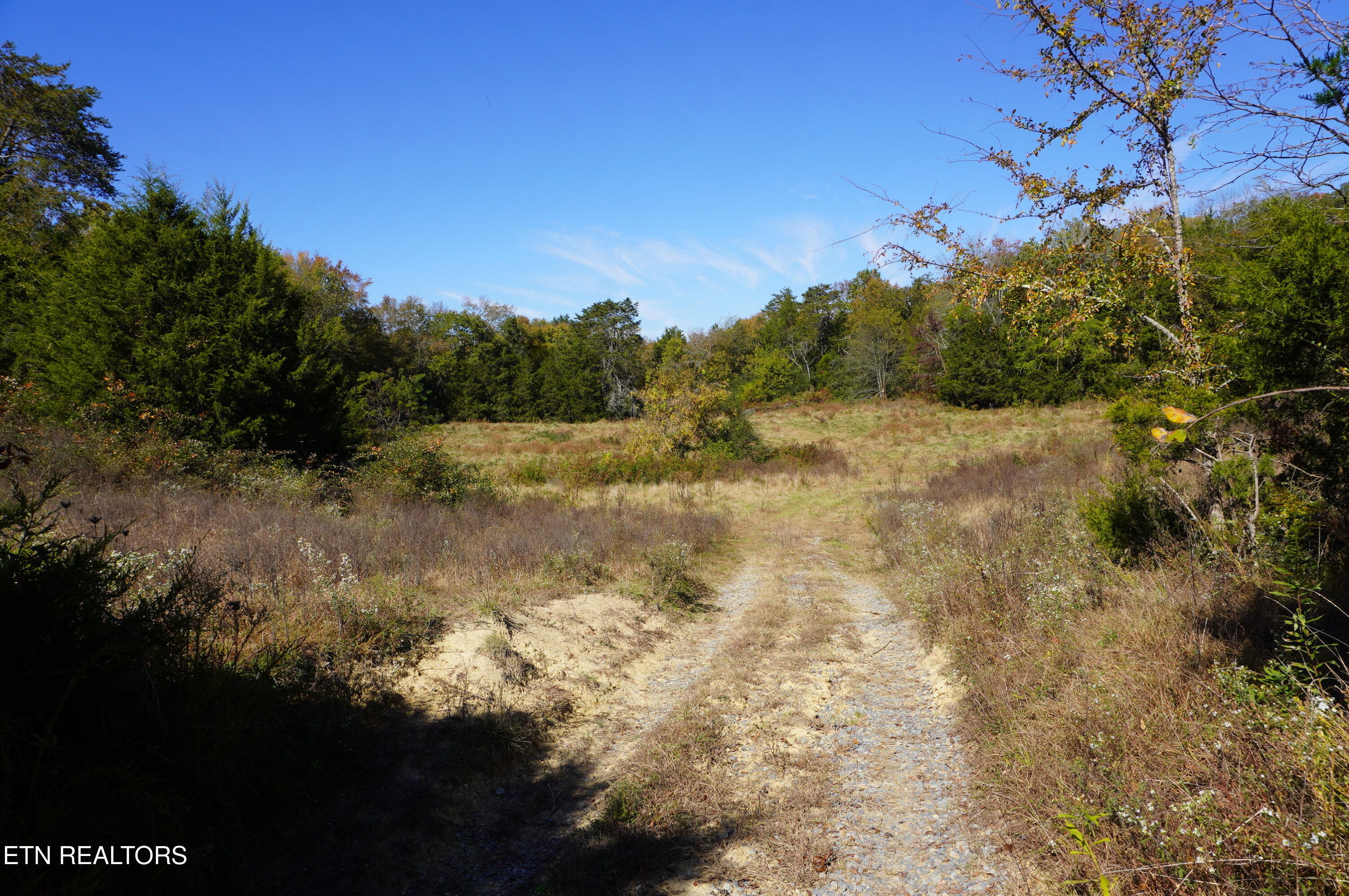 Par 152 Sulpher Springs Rd Property Photo 19