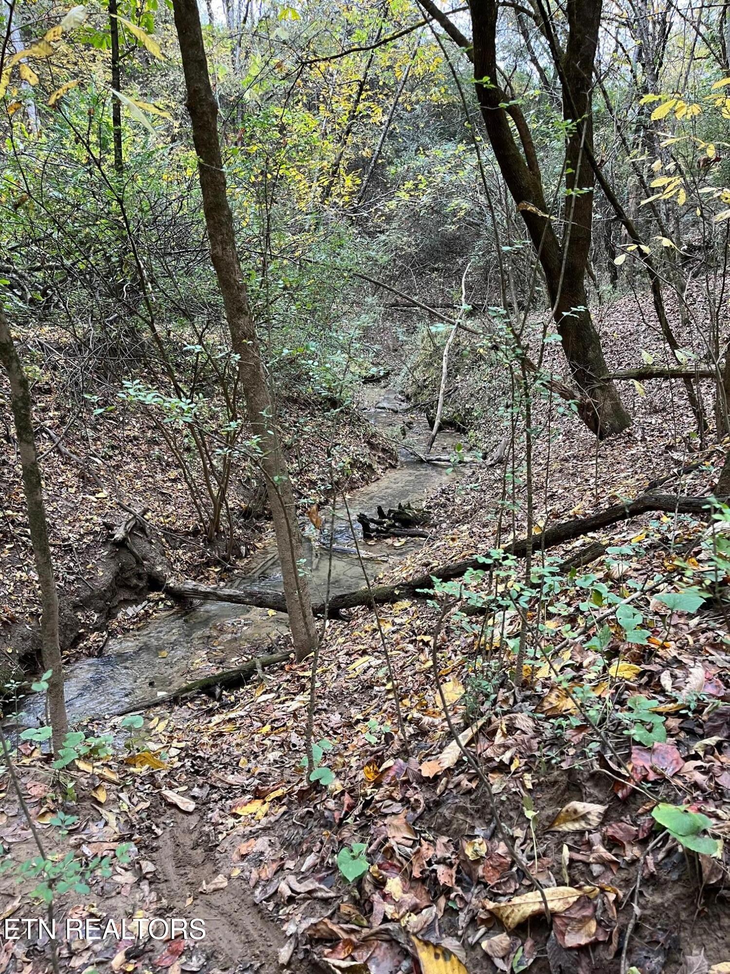 Par 152 Sulpher Springs Rd Property Photo 29