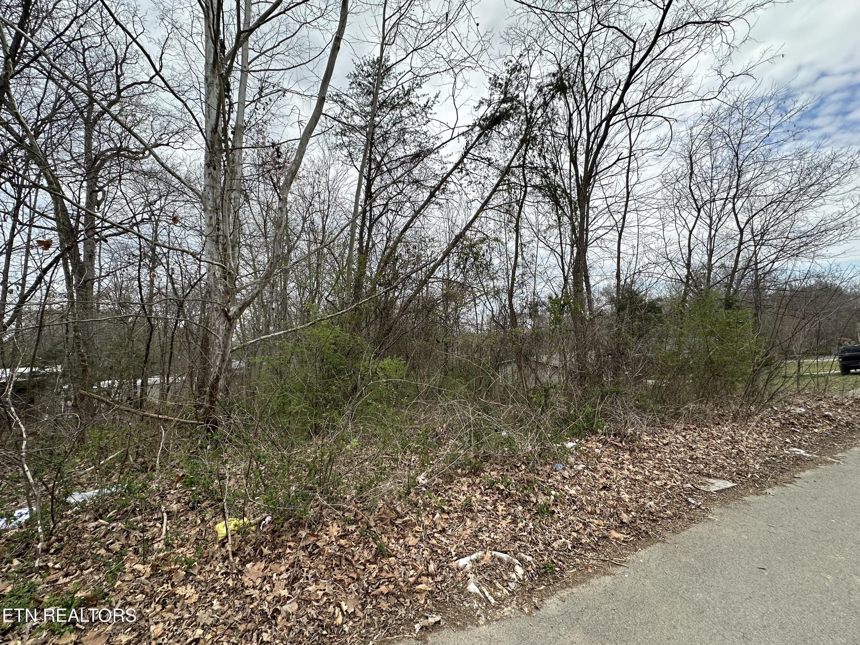 0 Long Ave Property Photo