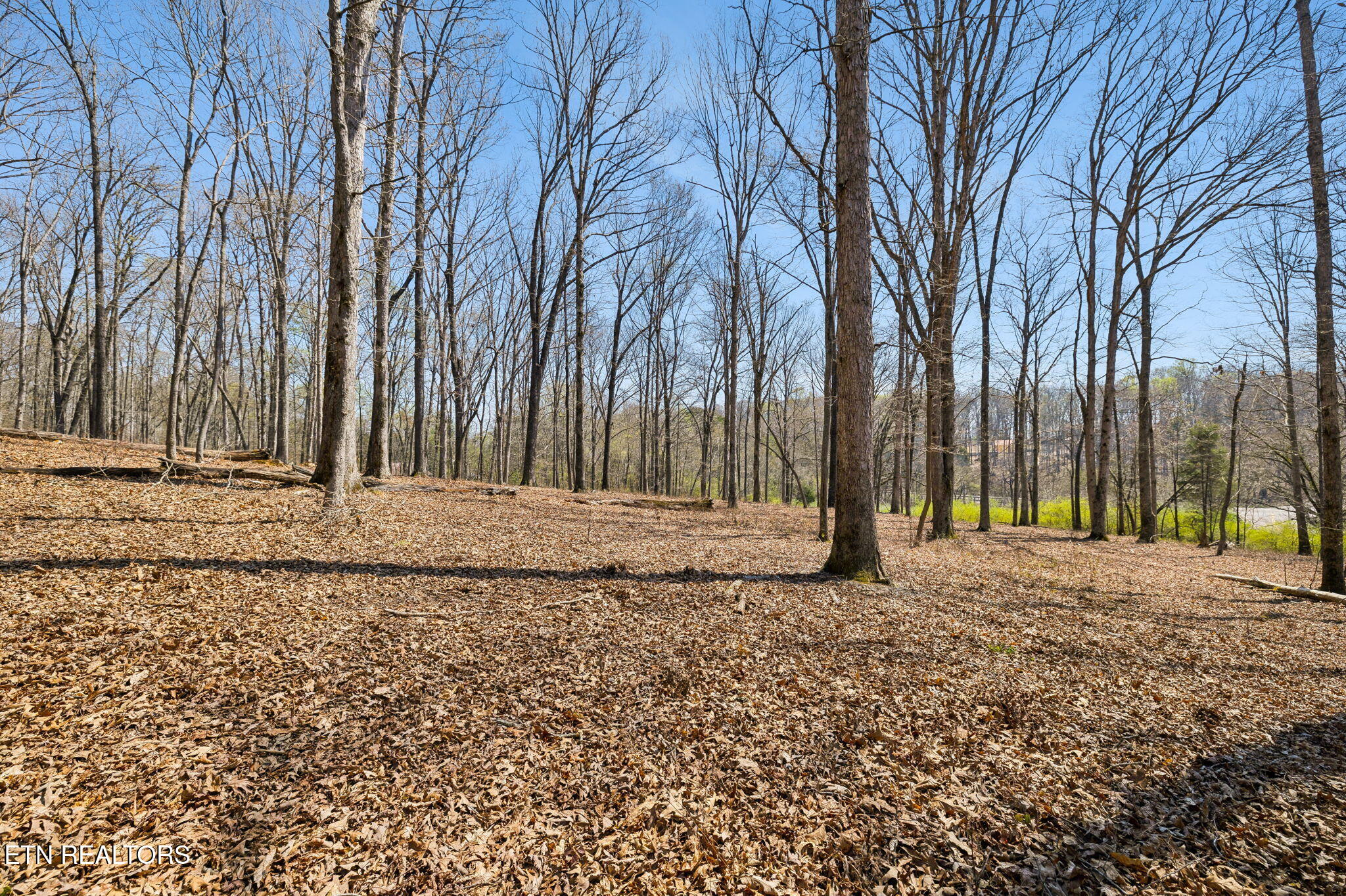 1300 Old Sugar Limb Rd Rd Property Photo 1