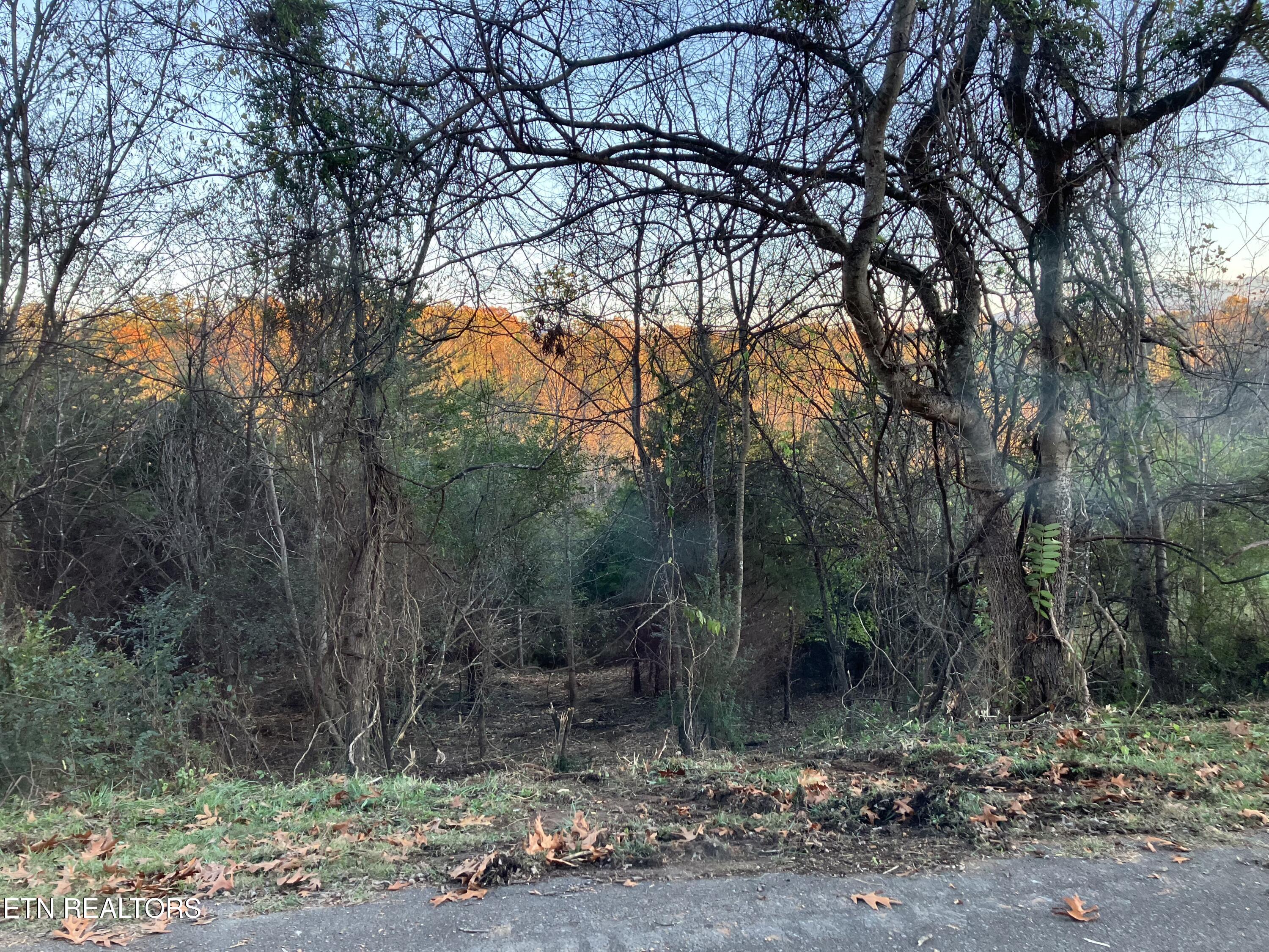 Lot 19 English Fields Drive Property Photo