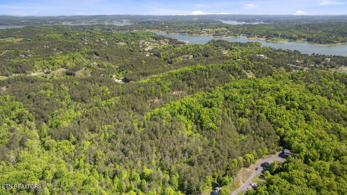 Coveside -38 Acres Way Property Photo
