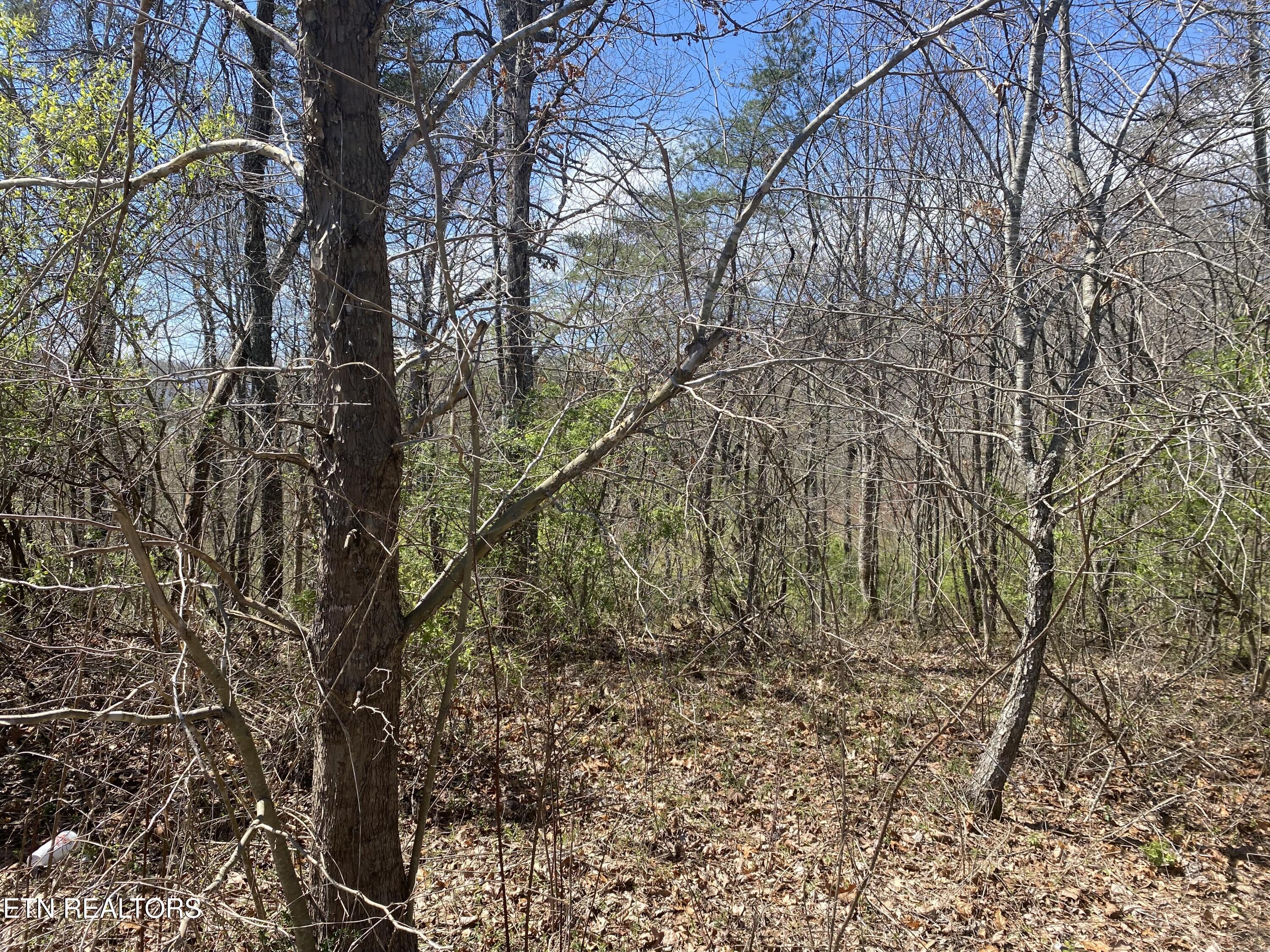 # 6 Hwy 127 North Property Photo