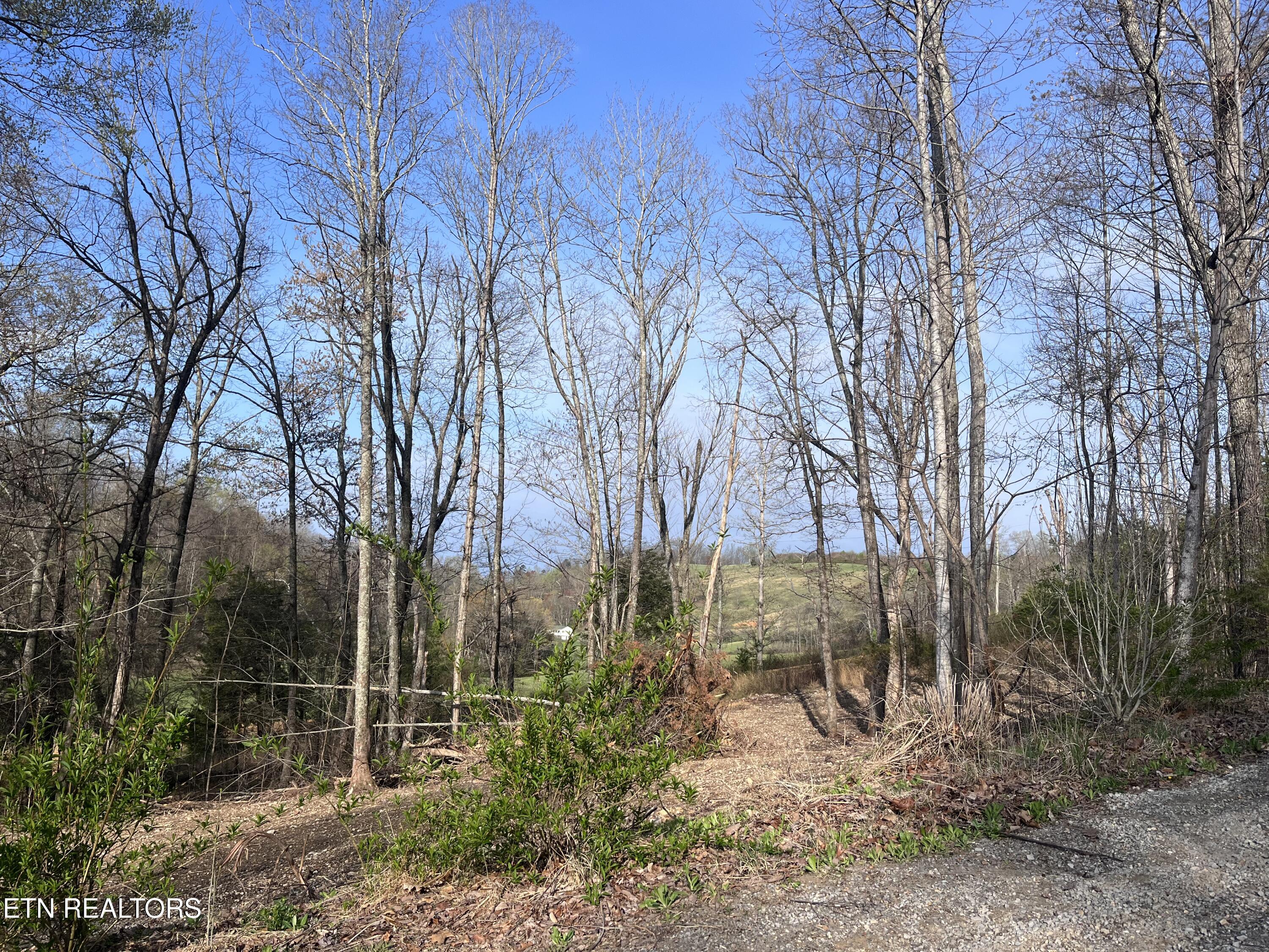 Cole Hollow Rd Property Photo