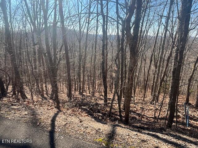 Laurel Mtn Road Rd Property Photo