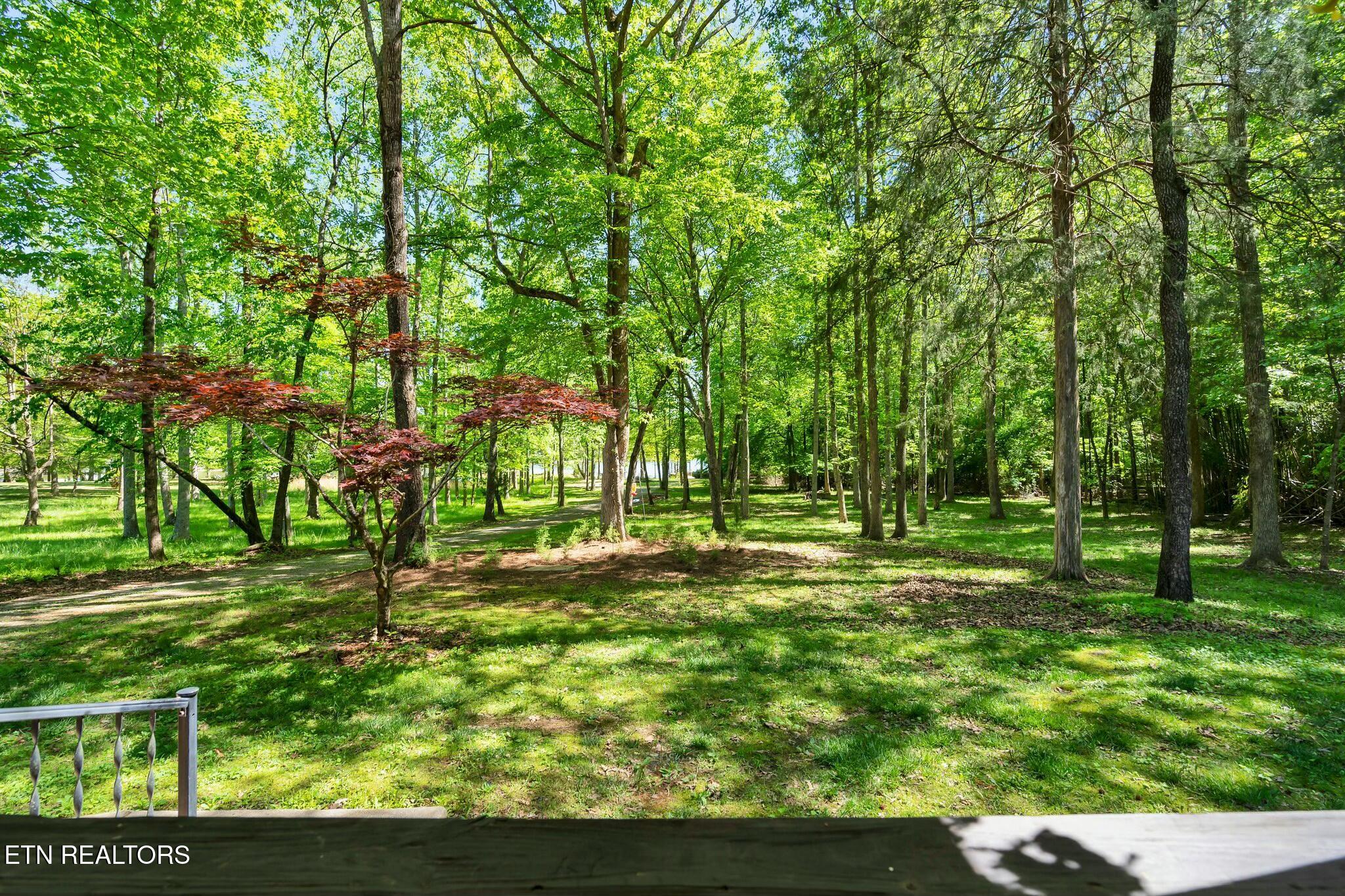 198 Amy Tr Property Photo 44
