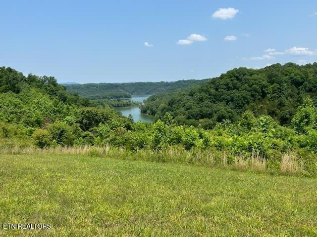 Lot 16 Bluebird Point Property Photo