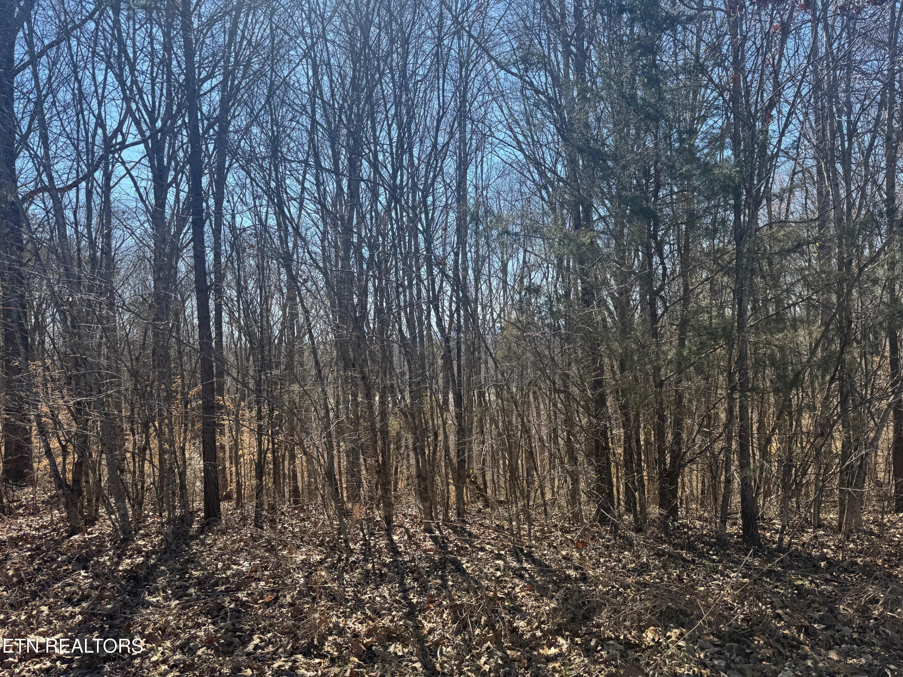 Lot 71 Saddle Ridge Drive Property Photo