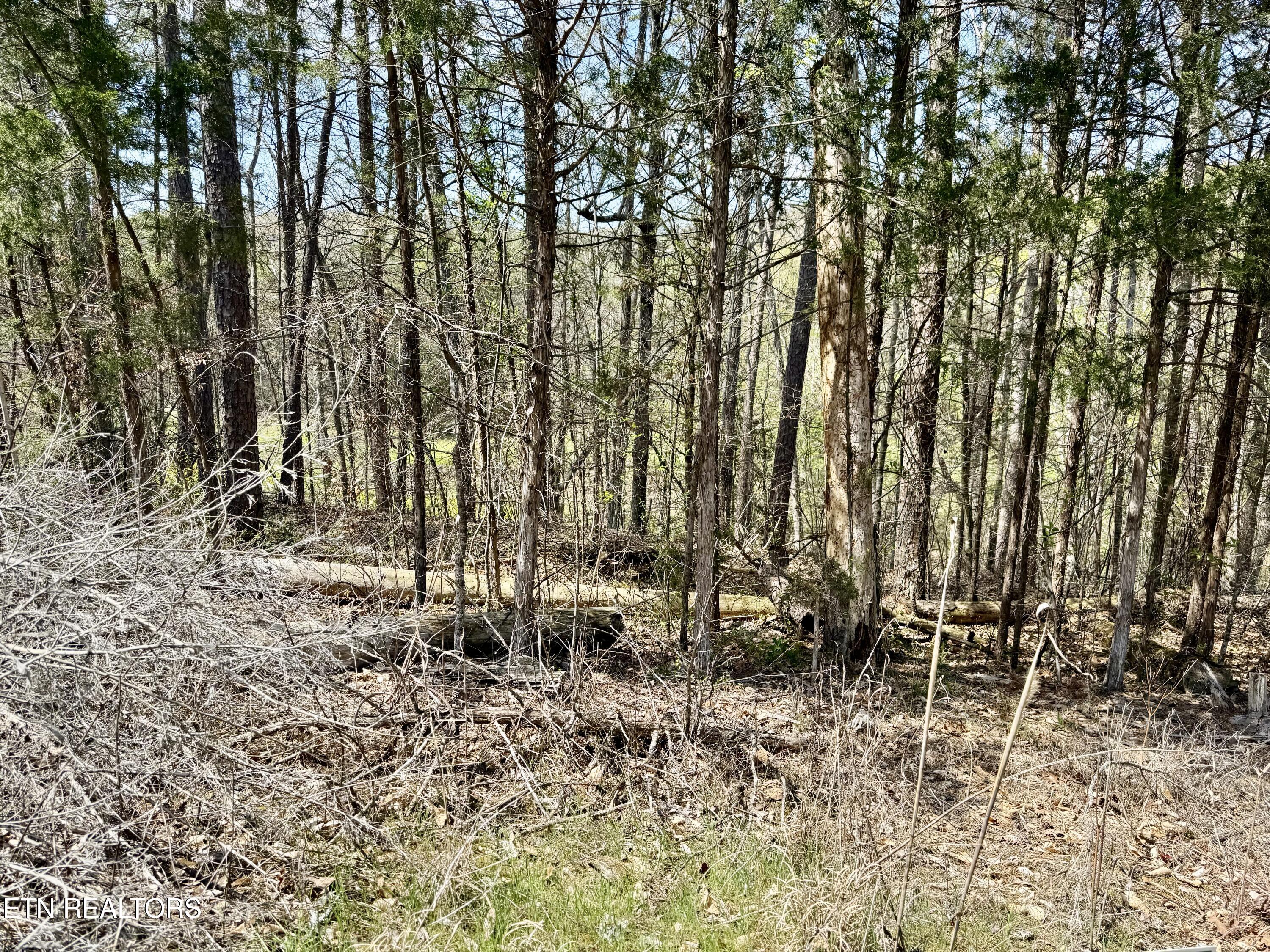 Lake Lane Lane Property Photo