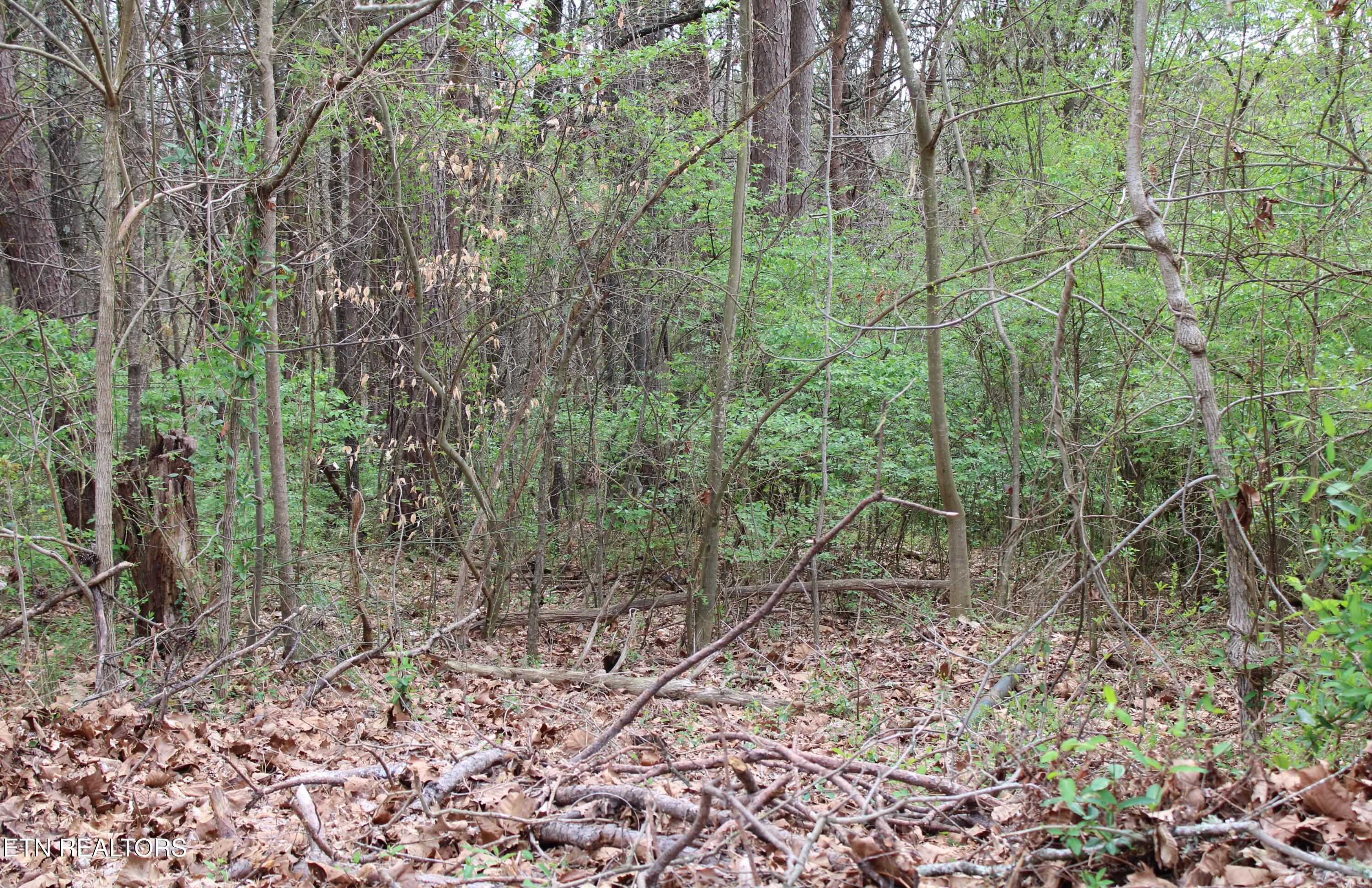 7313 Marble Springs Rd Property Photo 1