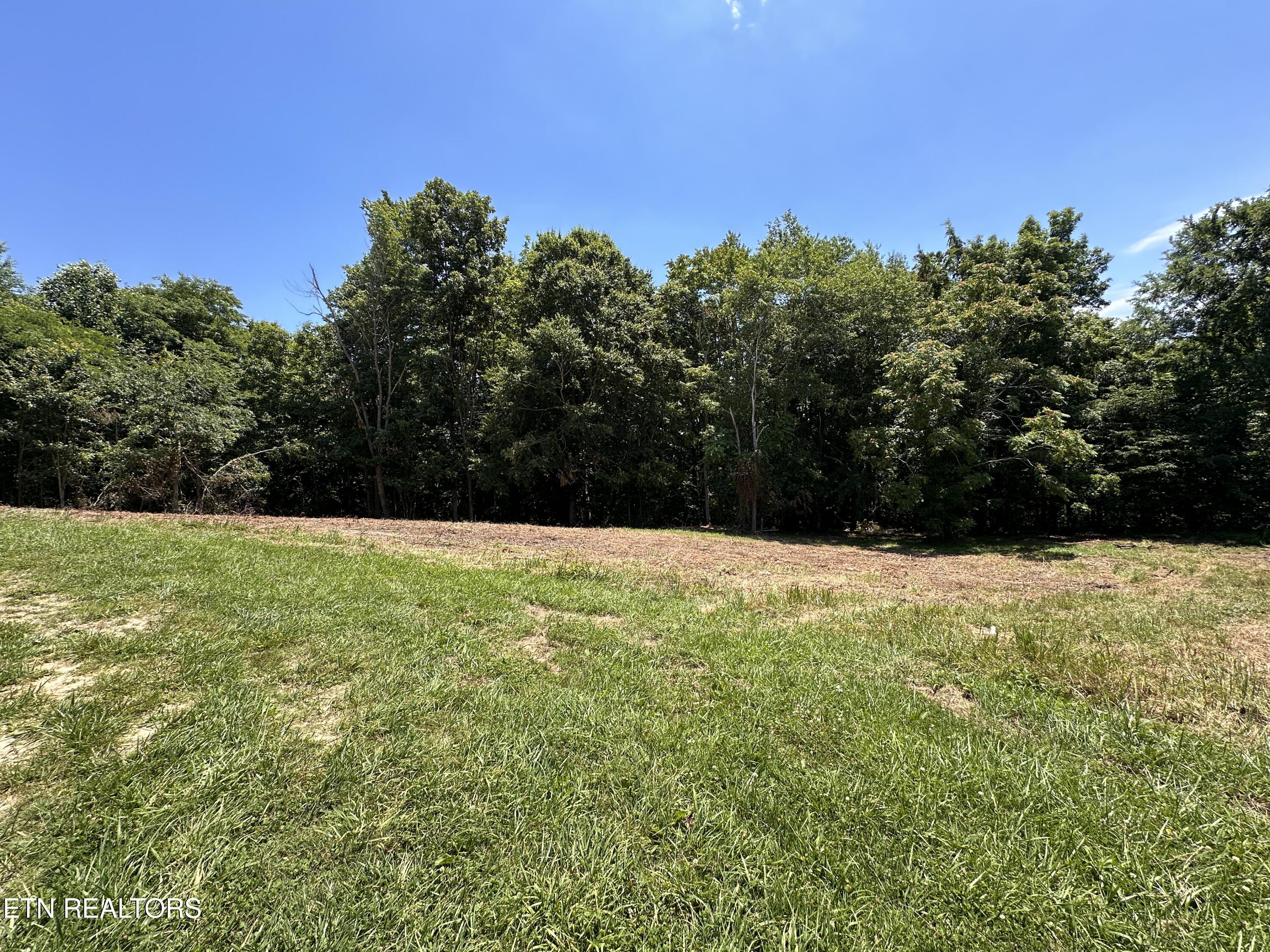 4.12 Acres Twin Peaks Ln Property Photo