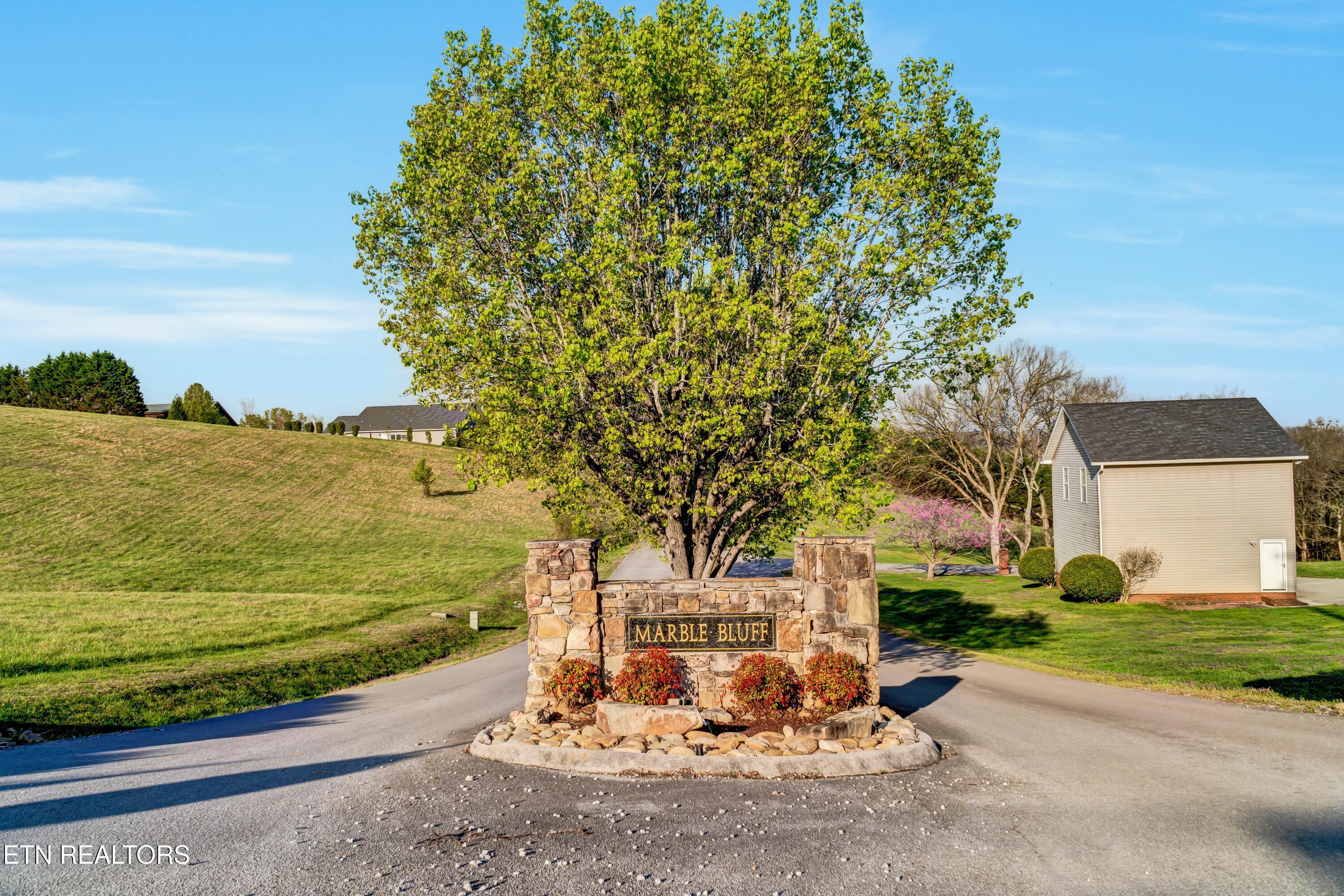 Marble Bluff Drive Property Photo 1