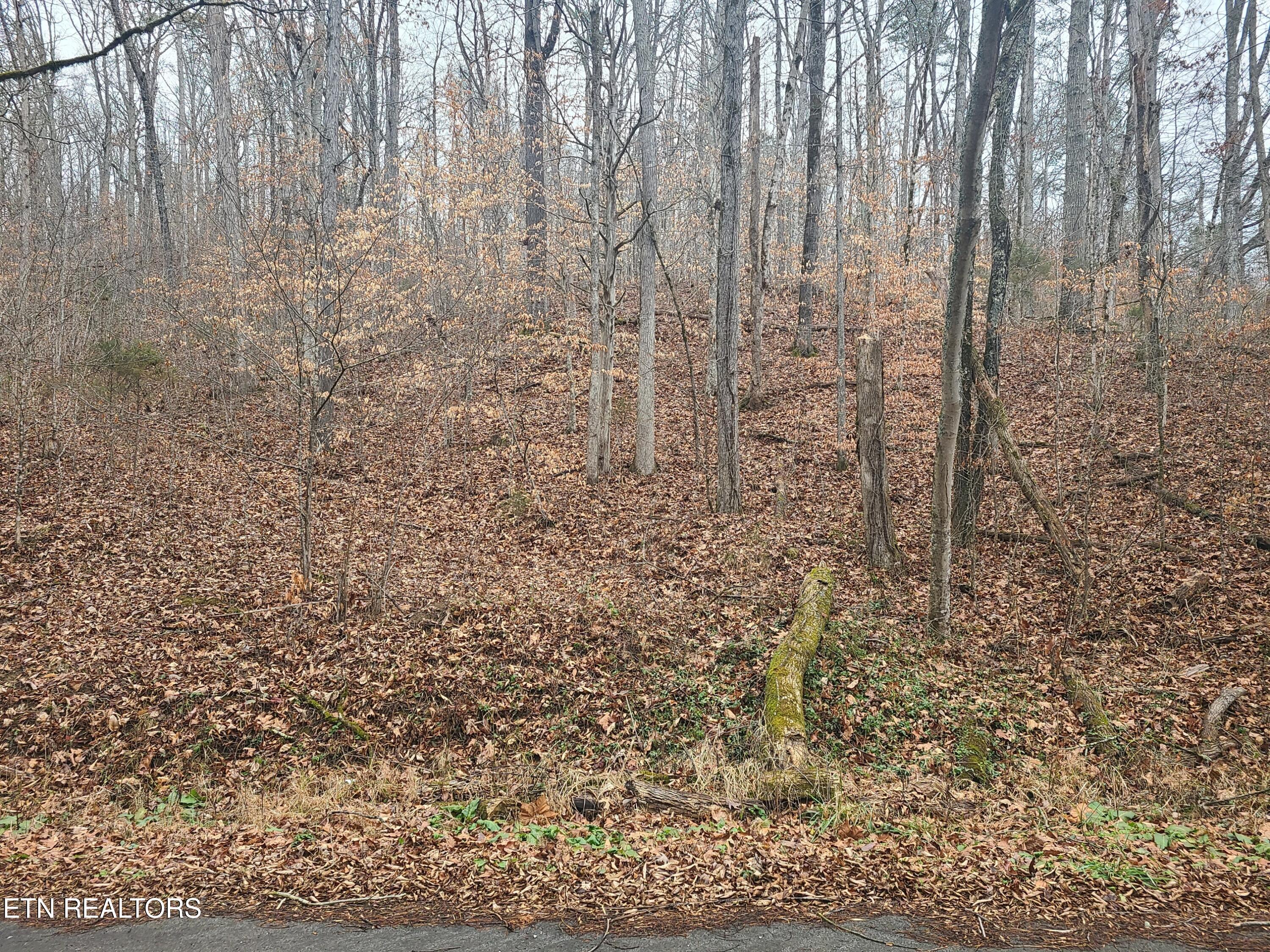 Keystown Rd Property Photo