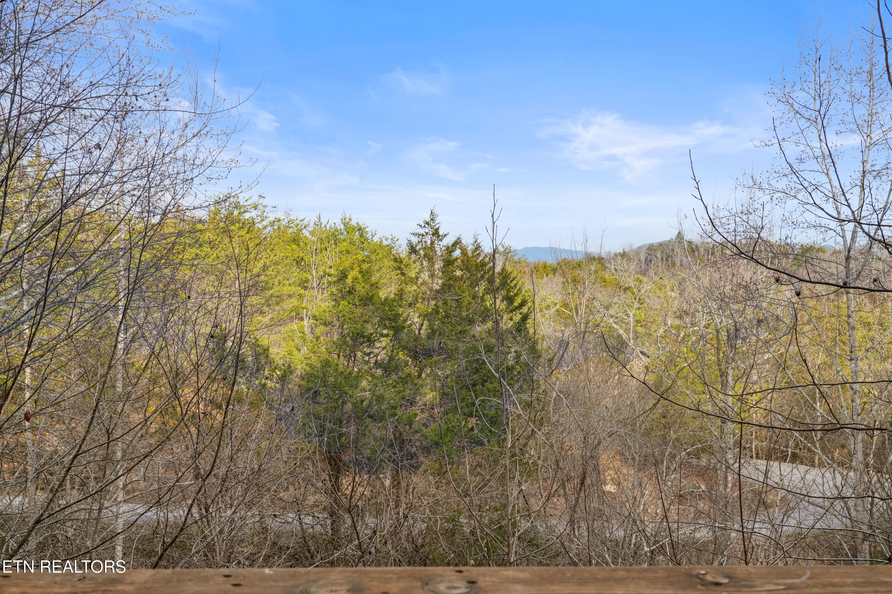 1706 Springer Rd Property Photo 24
