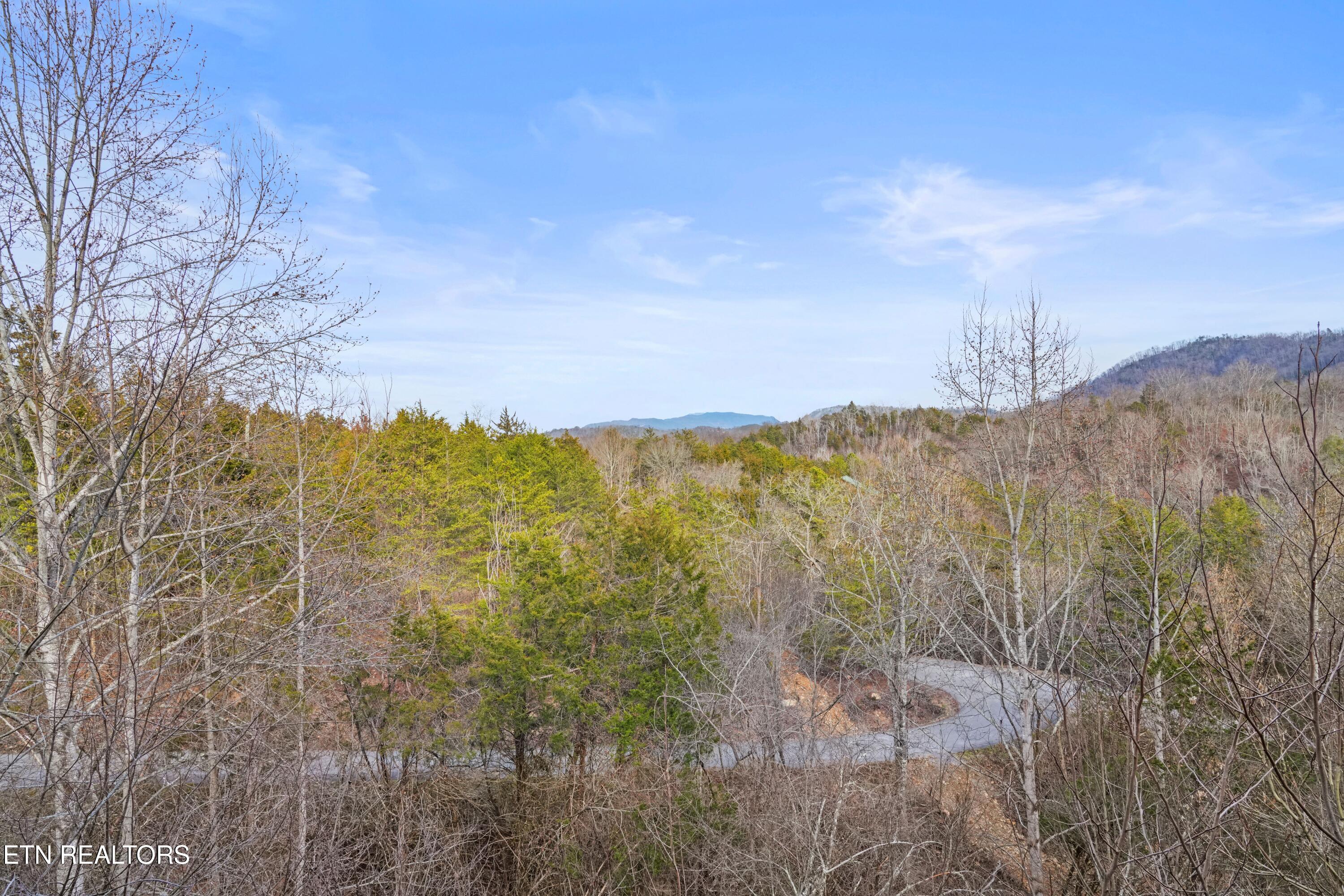 1706 Springer Rd Property Photo 28