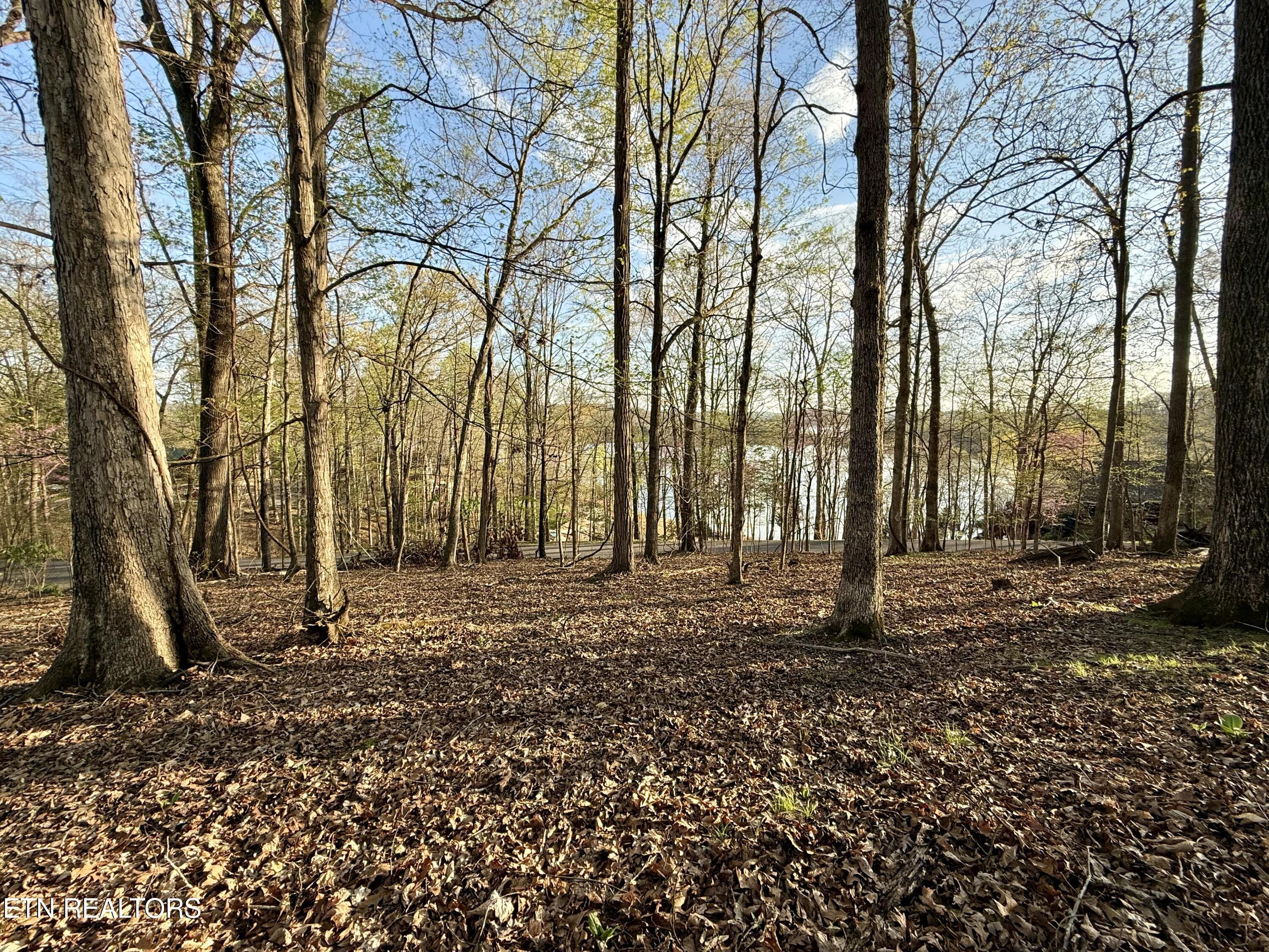Lot 119 Property Photo
