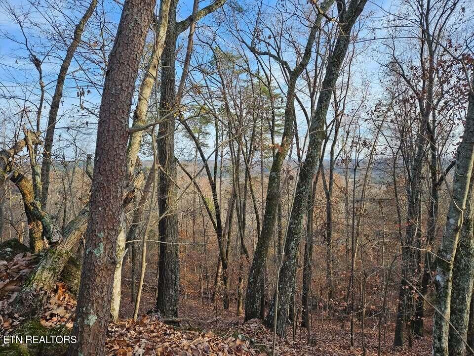 Lot 25 Countryside Drive Property Photo