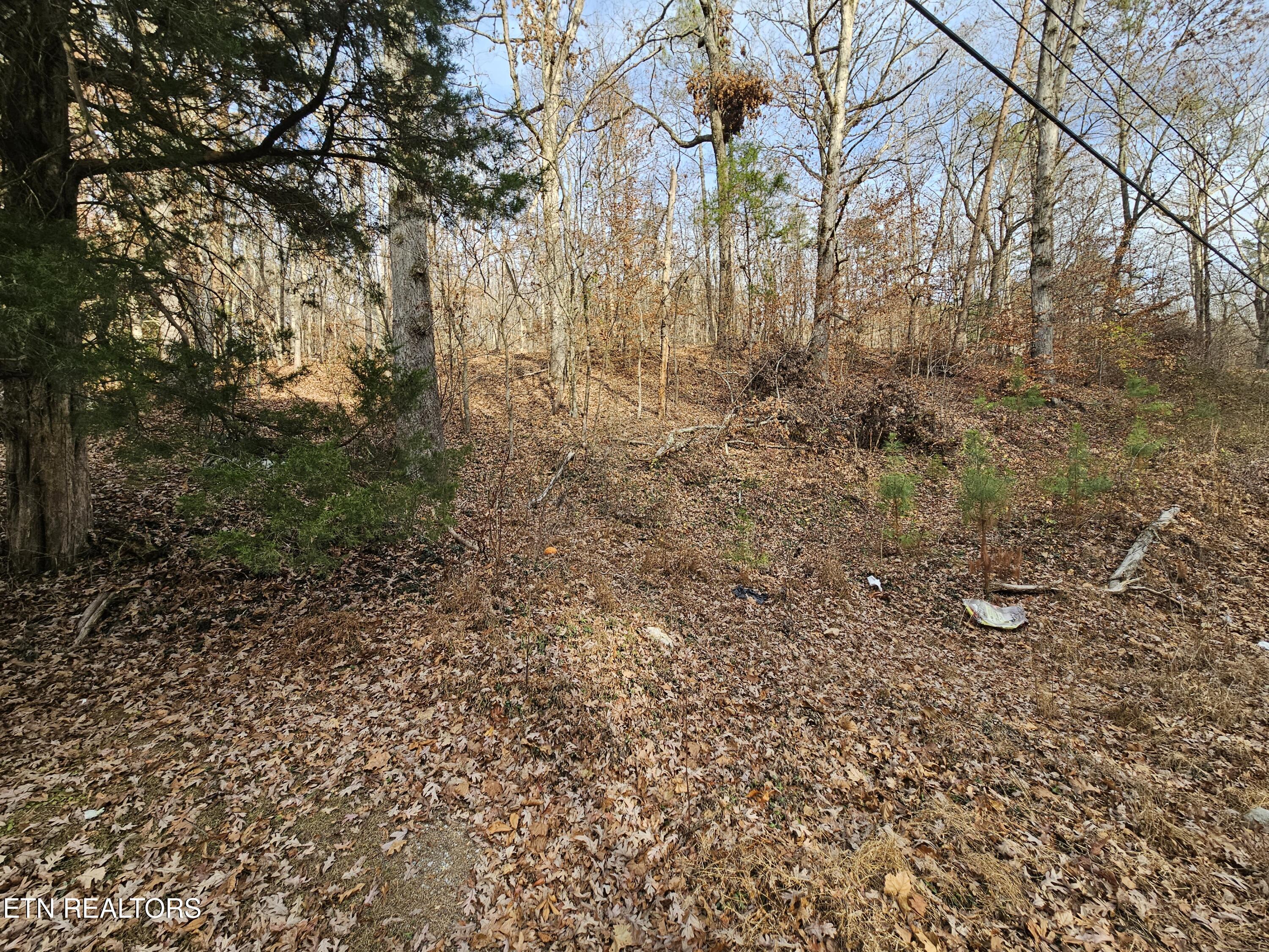 Lot 7 Smyrna Rd Property Photo