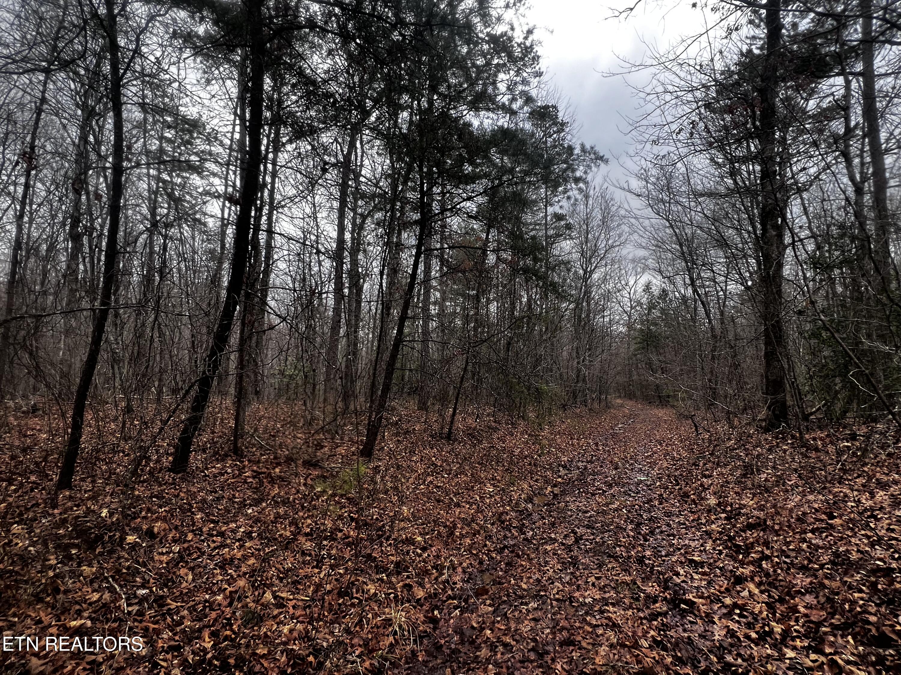 Lot 31 Tiffany Lane Property Photo