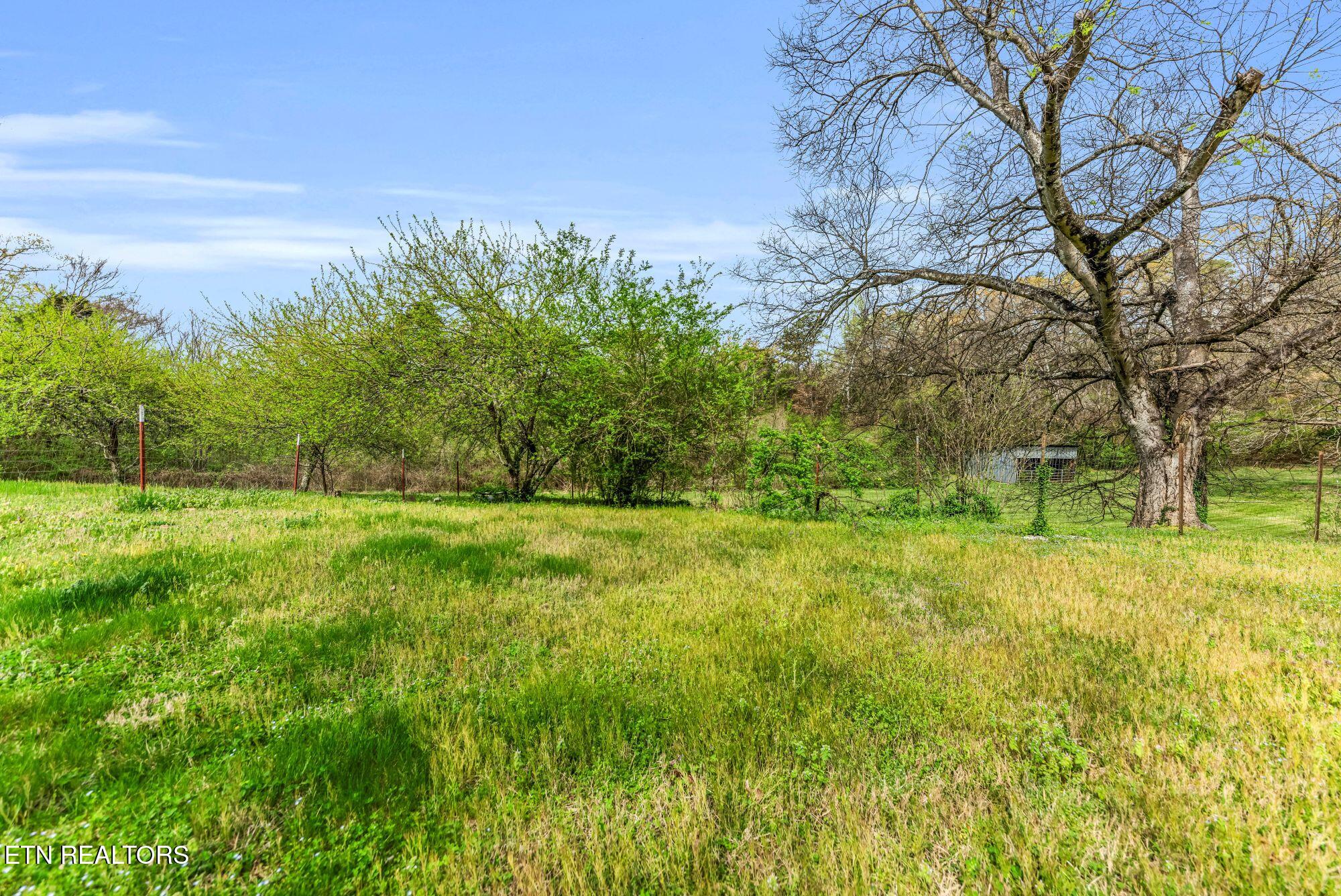 509 Atchley Lane Property Photo 18