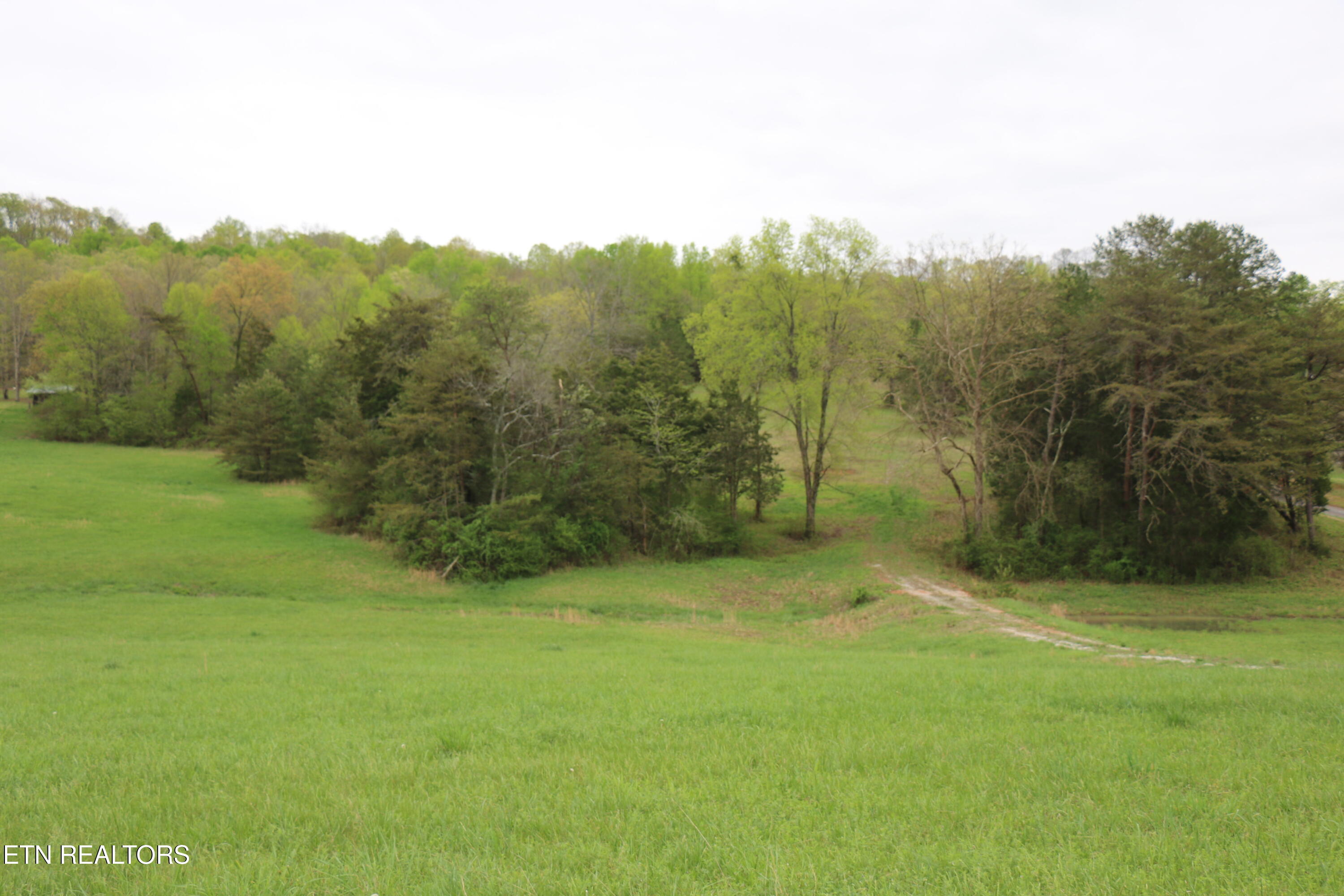 21 Acres County Road 461 Property Photo