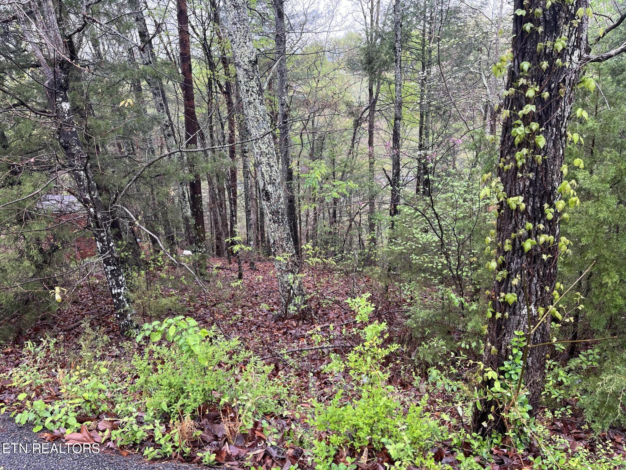Lot 1 Mountain View Drive Property Photo