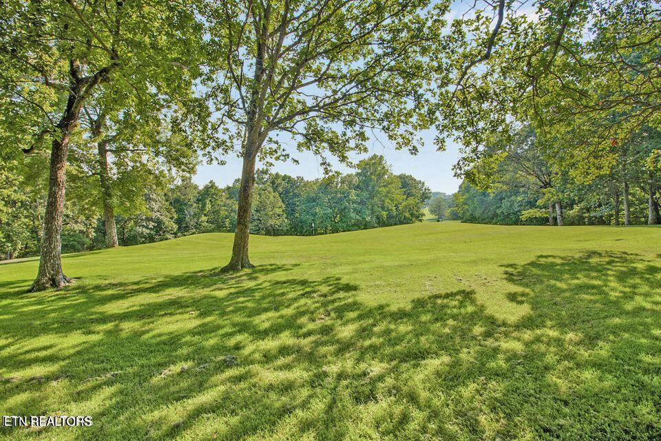 512 Druid Landing Property Photo 33