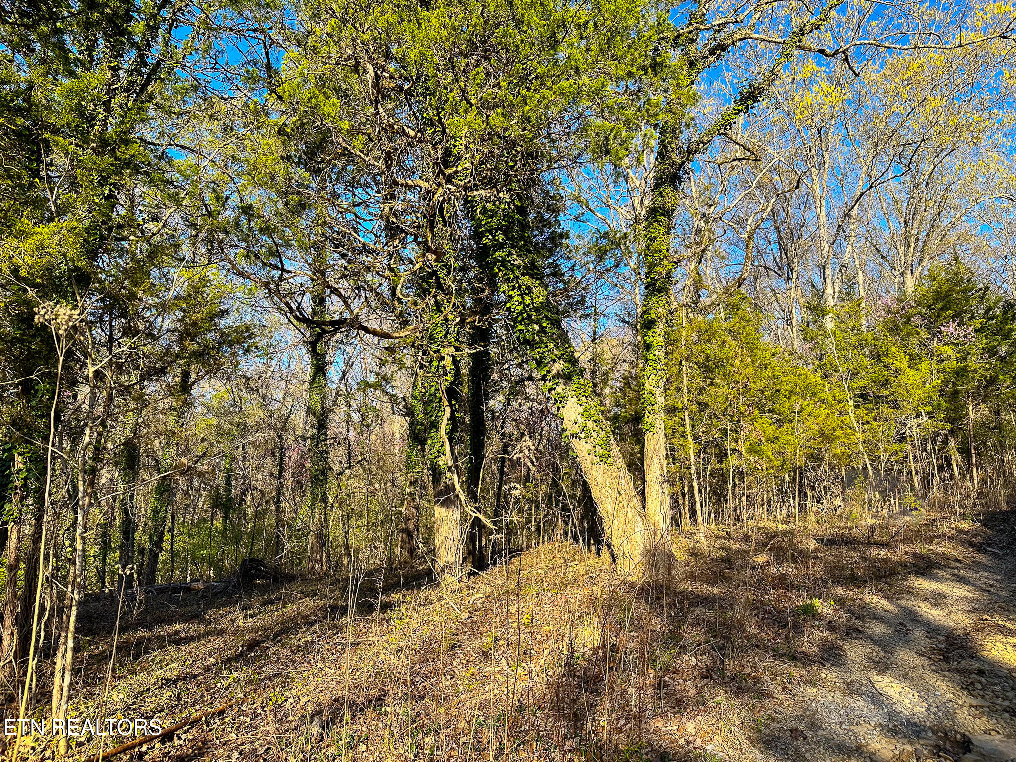 Haven Hill Rd Property Photo
